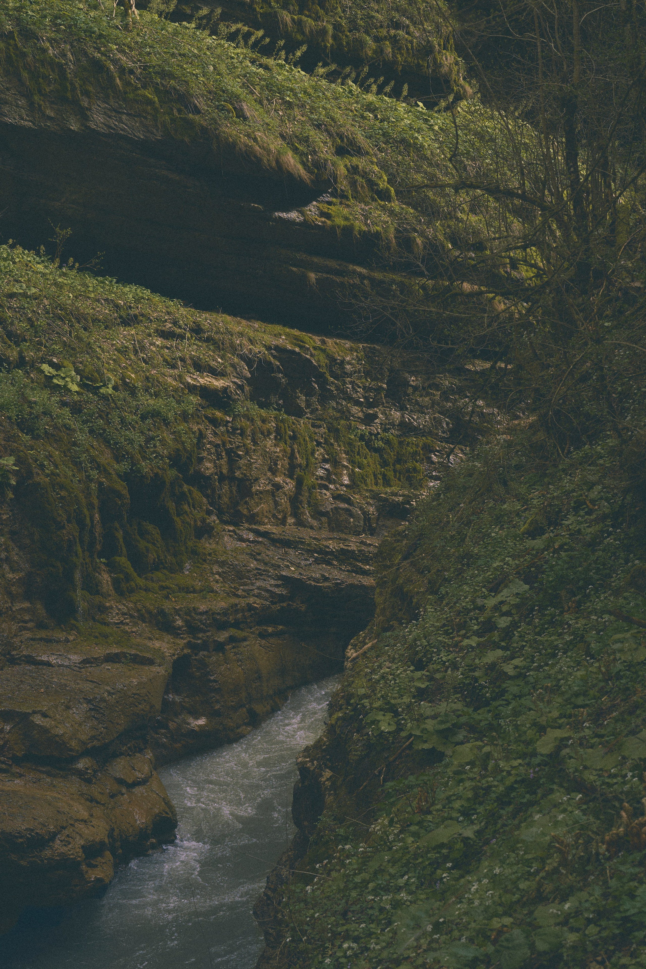 Krasnodar. Гасанова Алина|Фотограф в Санкт-Петербурге