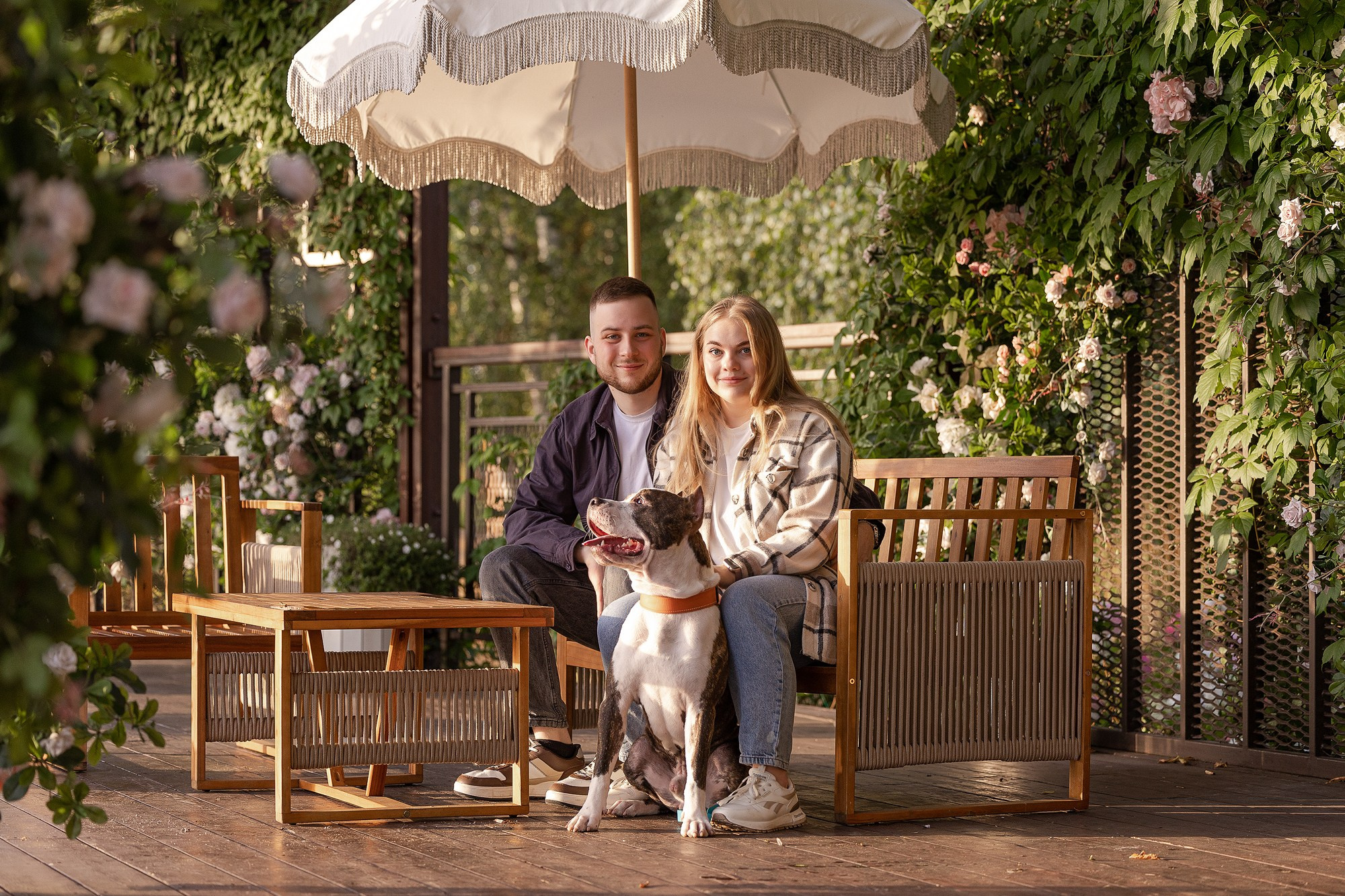 Амстафф Честер и его семья. Фотограф-анималист Natalia Deingel | Фотосъемка собак в Москве