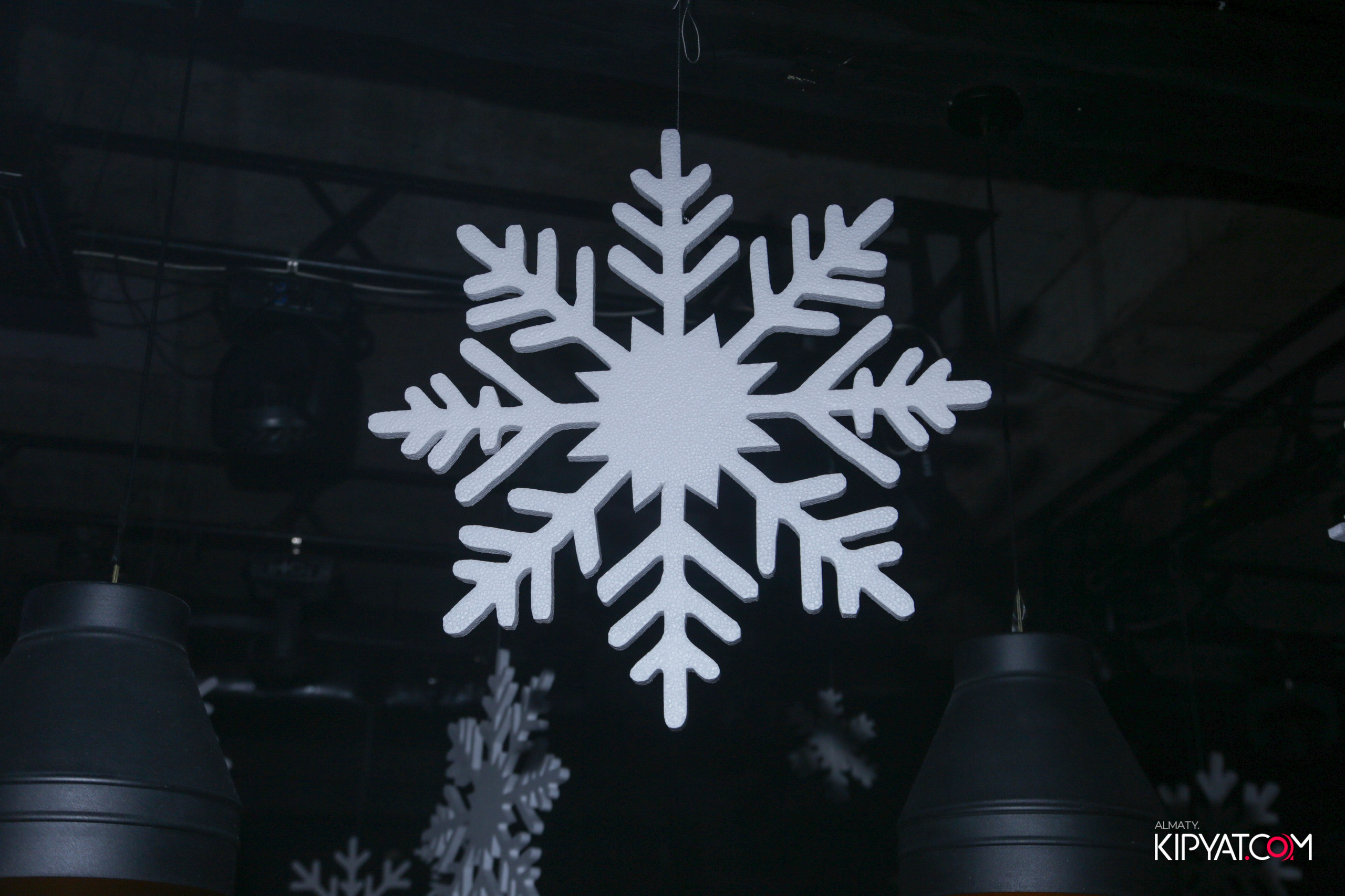 ARAGOSTA ДИСКО-БАР. КИПЯТКОМ АЛМАТЫ! Фотосъемка мероприятий в Алматы