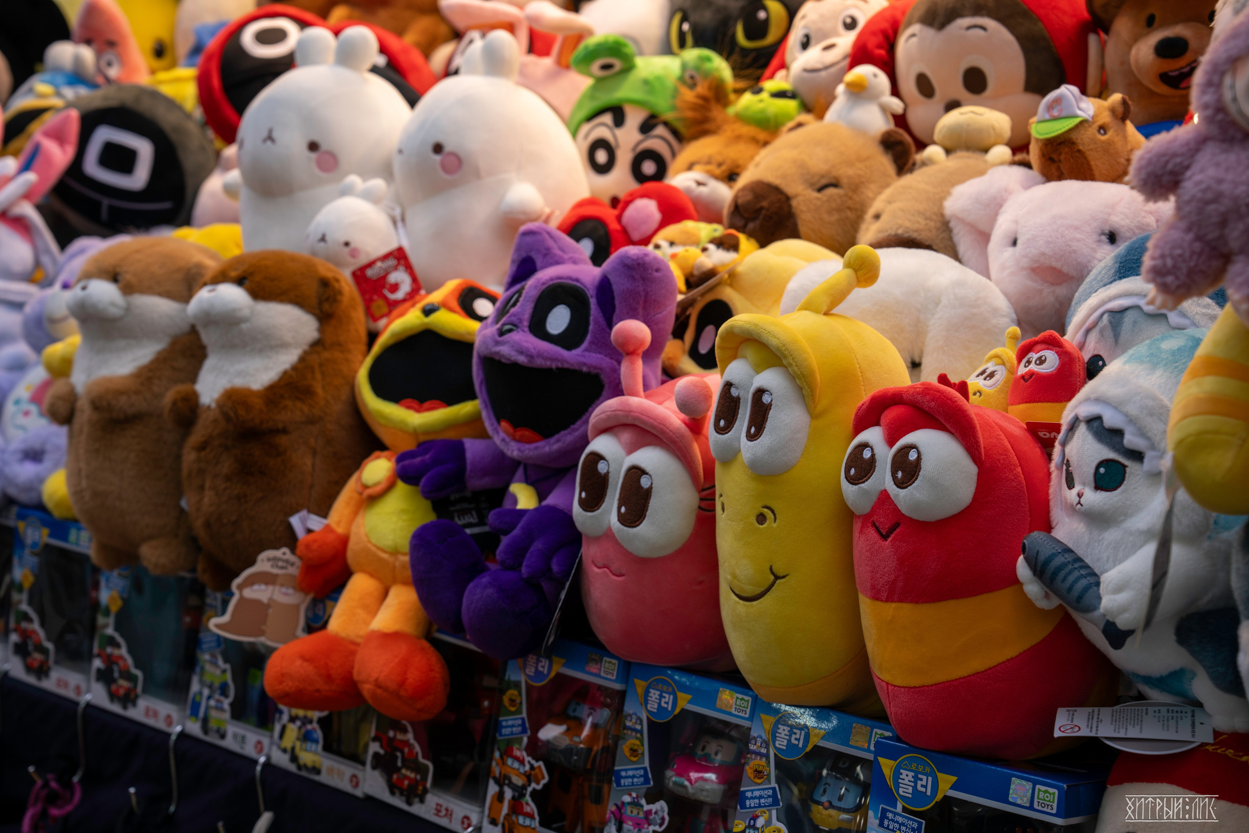 Южная Корея. Фотограф-путешественник Самойлов Максим «Sly Fox»