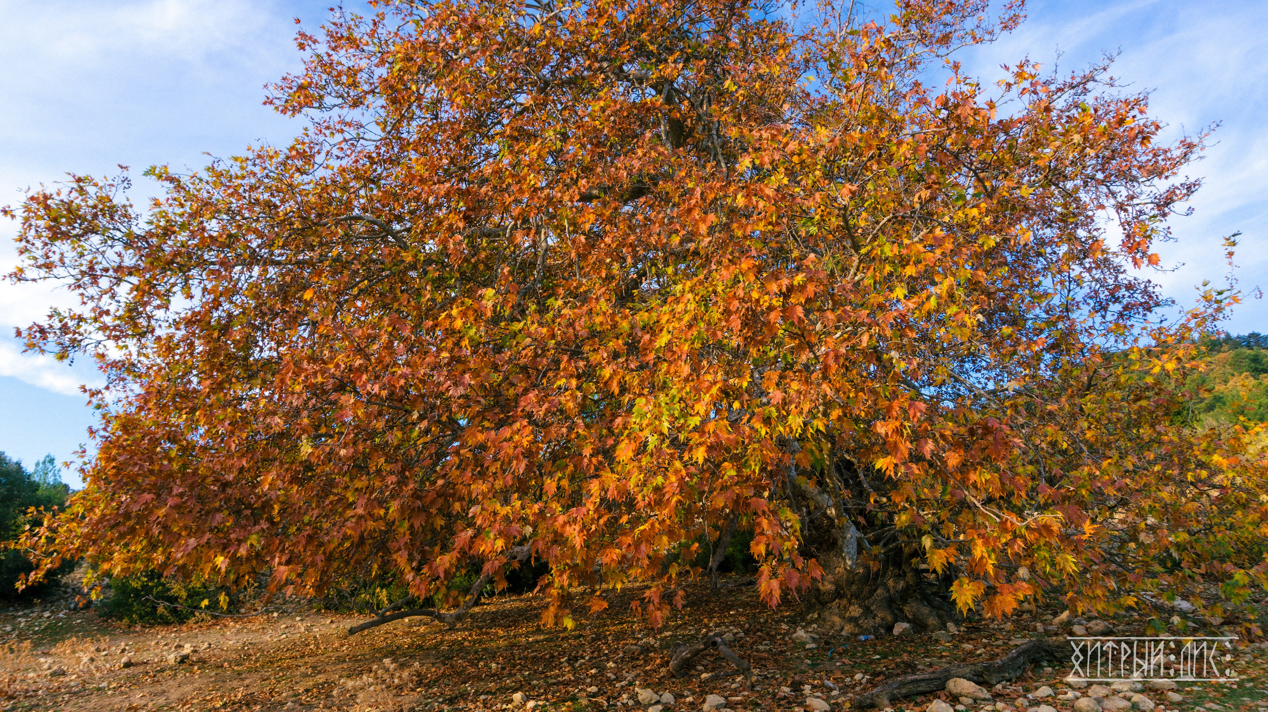 Турция. Ликийский путь. Фотограф-путешественник Самойлов Максим «Sly Fox»