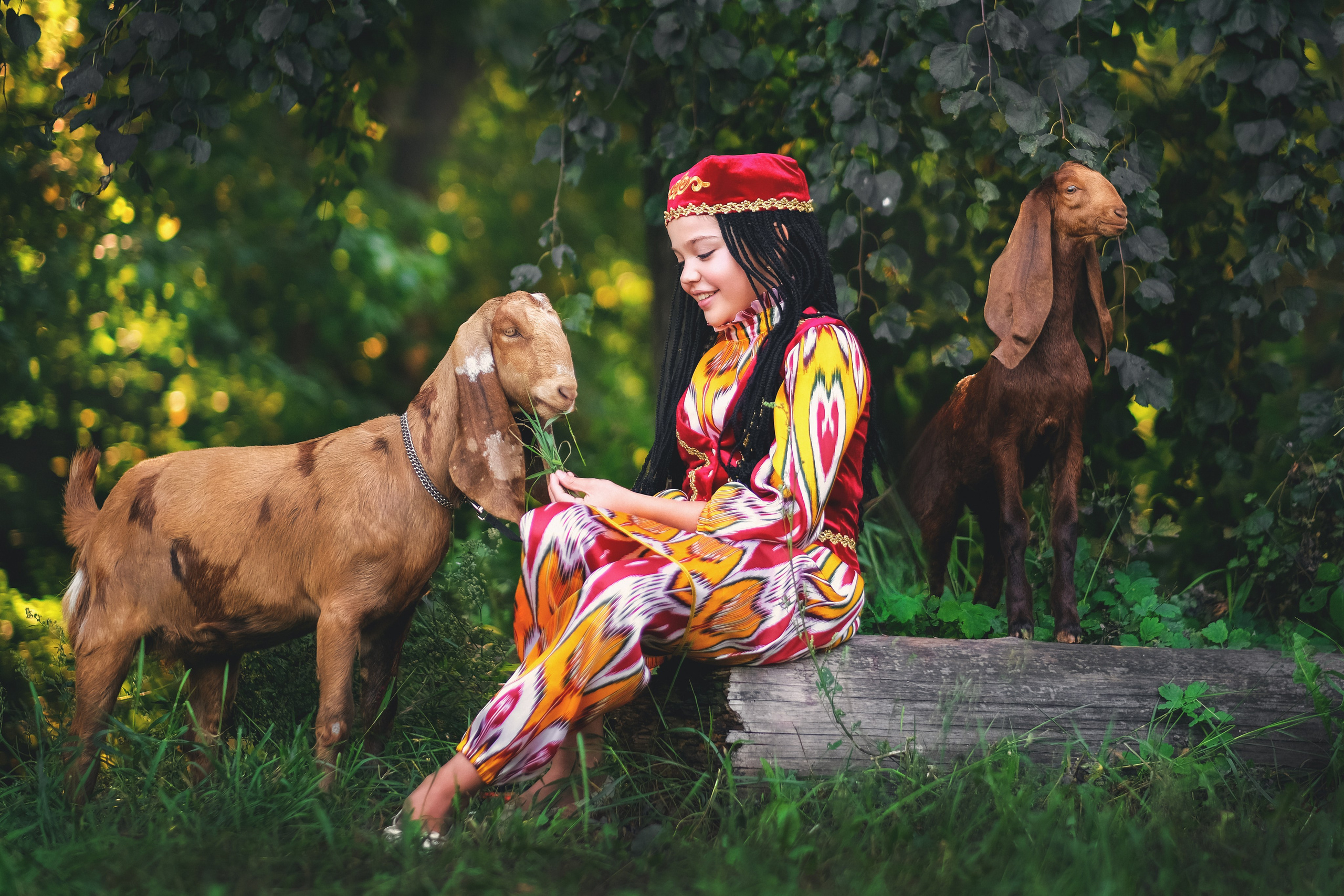 Девочка кормит козленка