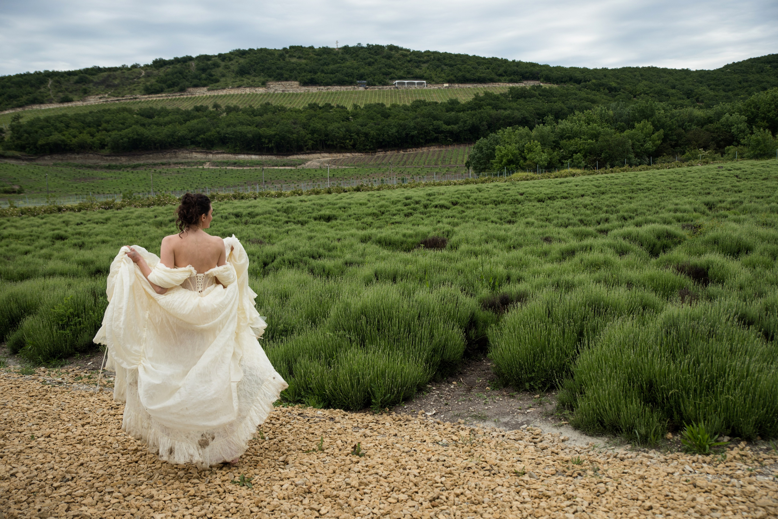 WEDDING. Свадебный и семейный фотограф в Геленджике и Краснодарском крае