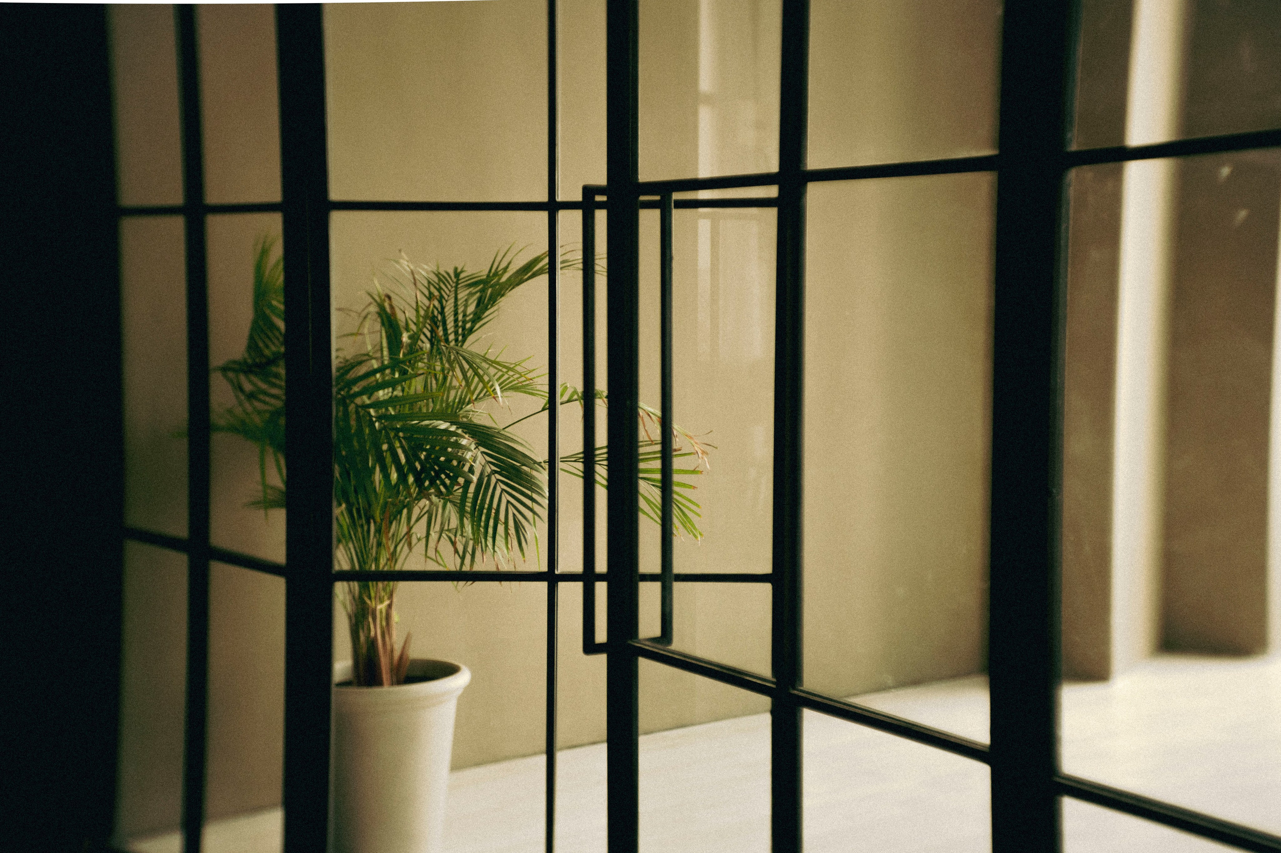 N&Y. Фотограф Димитровград Казань Валерия Владимиркина