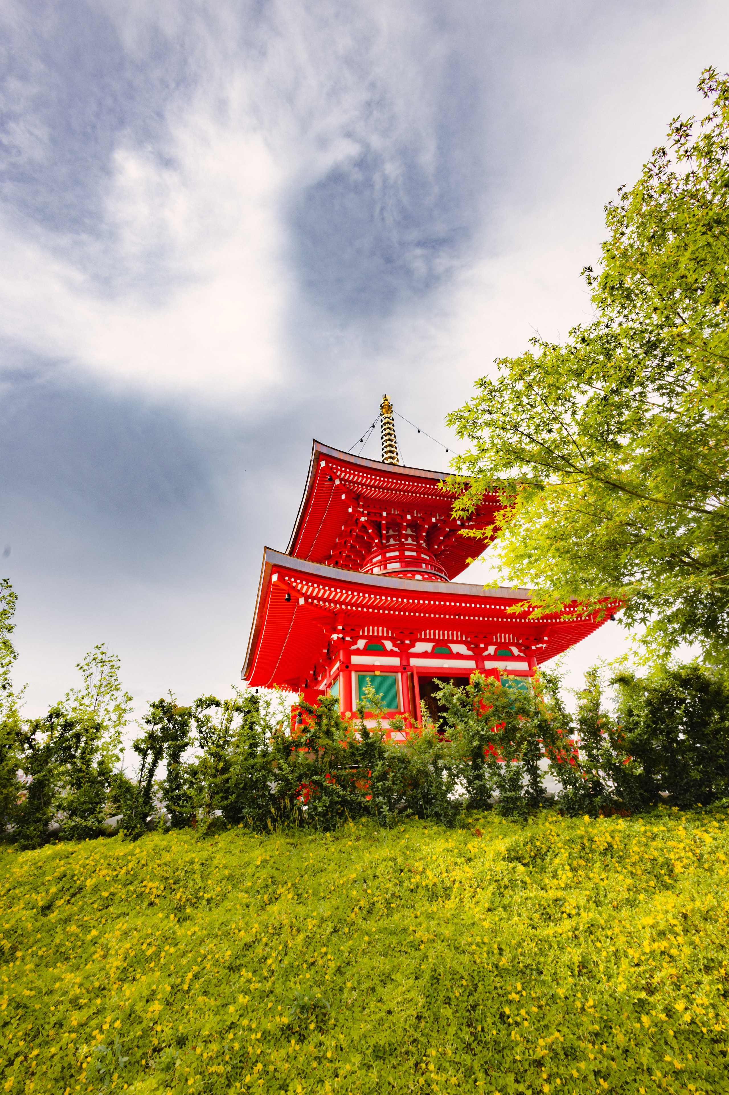 Японский сад в Краснодаре. Профессиональный фотограф и видеооператор