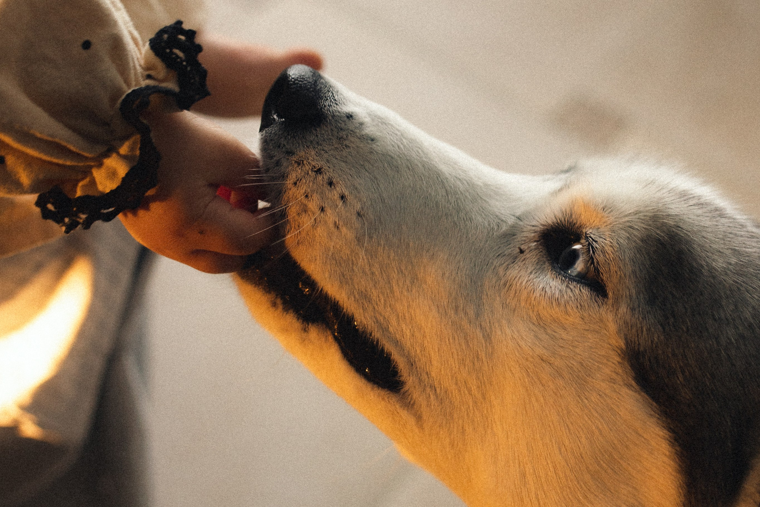 Блинная вечеринка. Фотограф из Петербурга