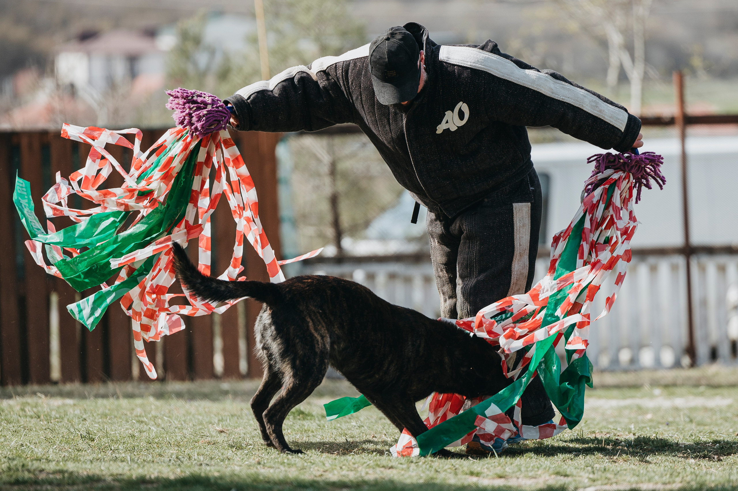 Геленджик Мондьоринг. Фотограф-анималист Анна Маринич
