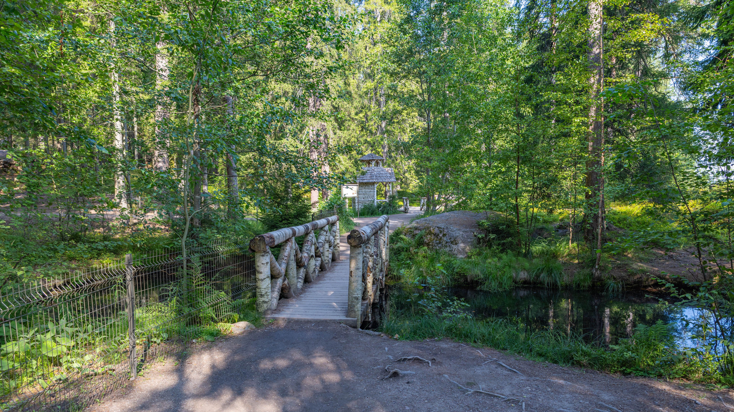2025 07 Выборг — Сортавала — Великий Новгород — Псков. Фотографии