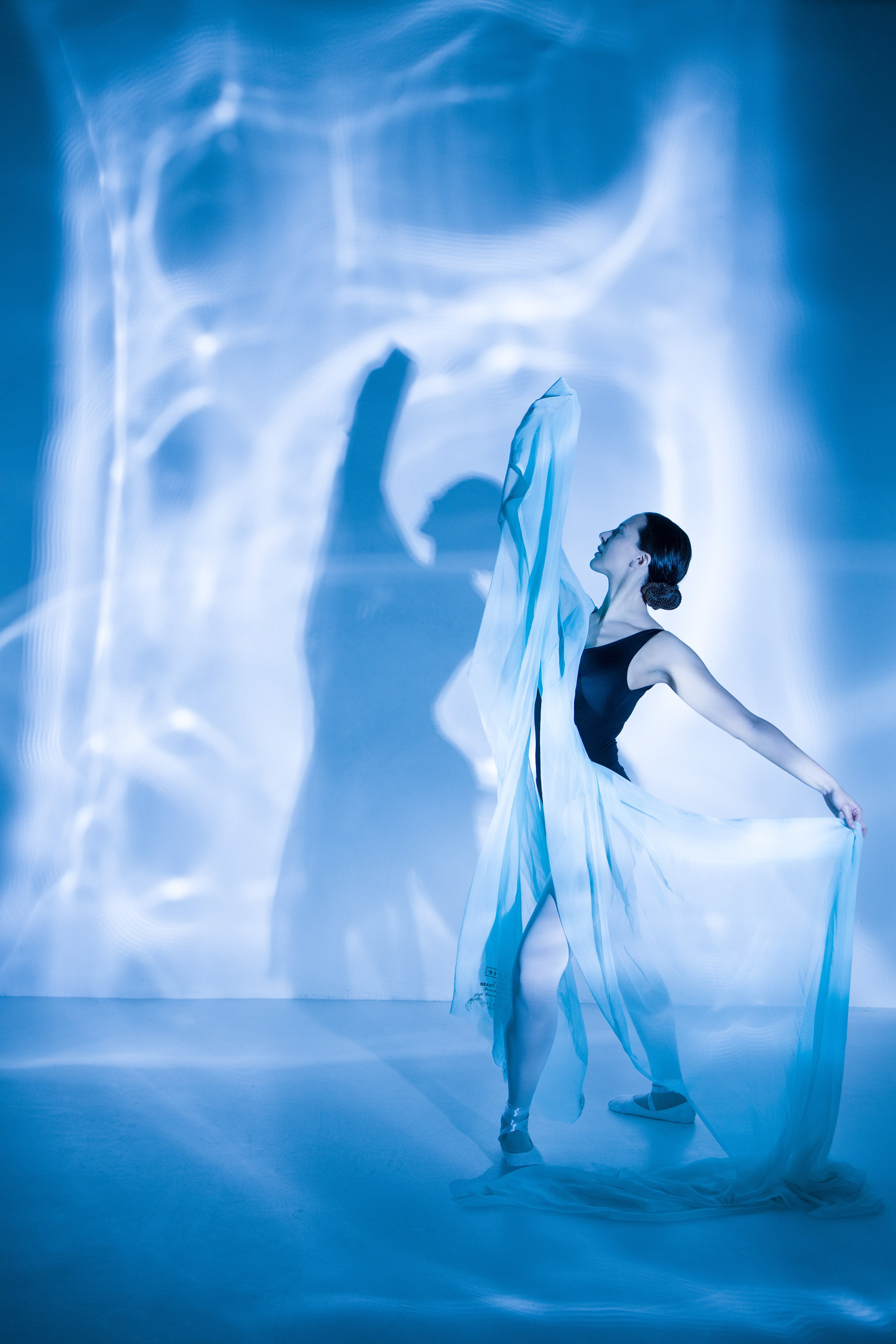 Лилия. Художественная фотография