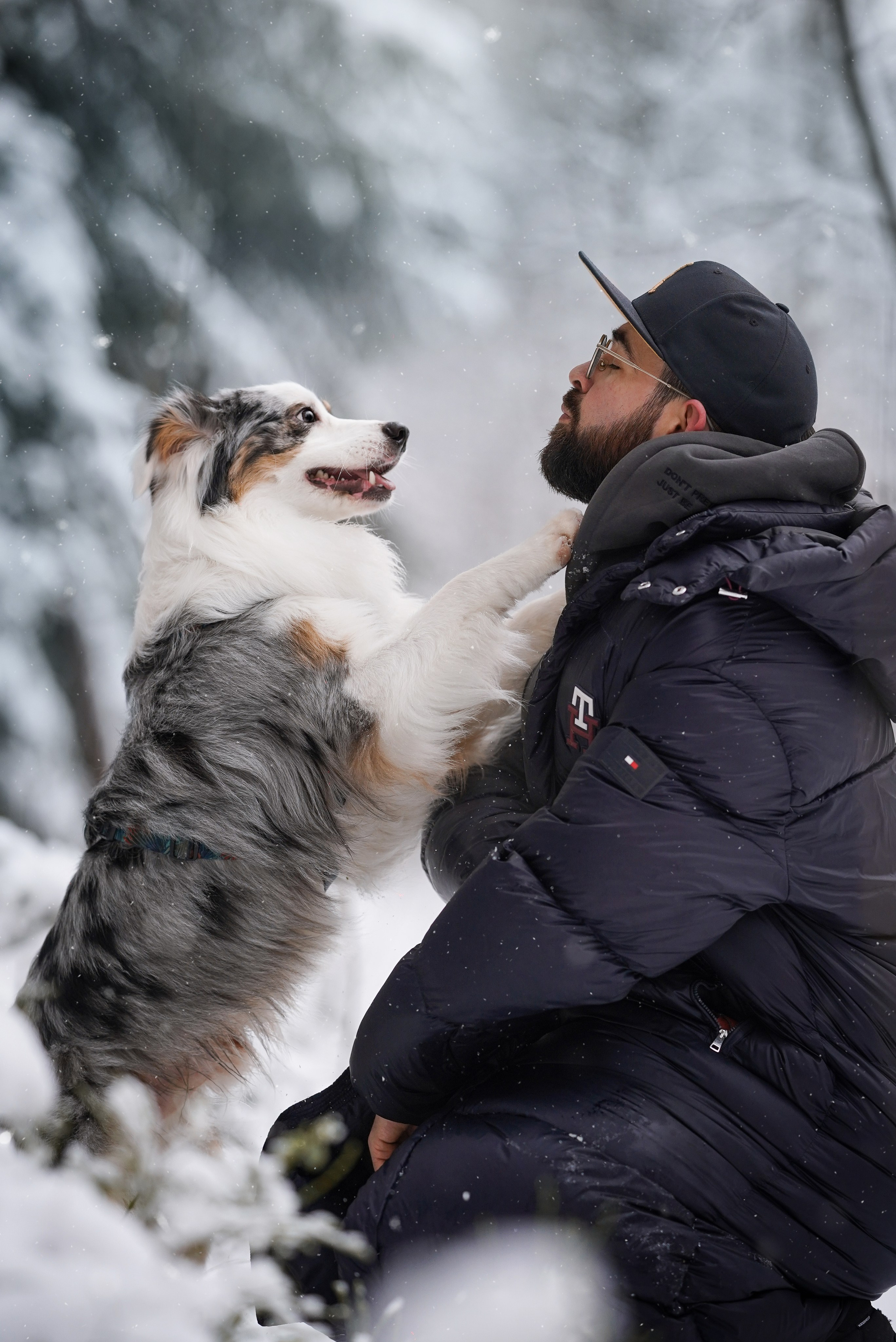 Антон Аиша и Римус. Фотограф-анималист в Санкт-Петербурге Яна Мартынова