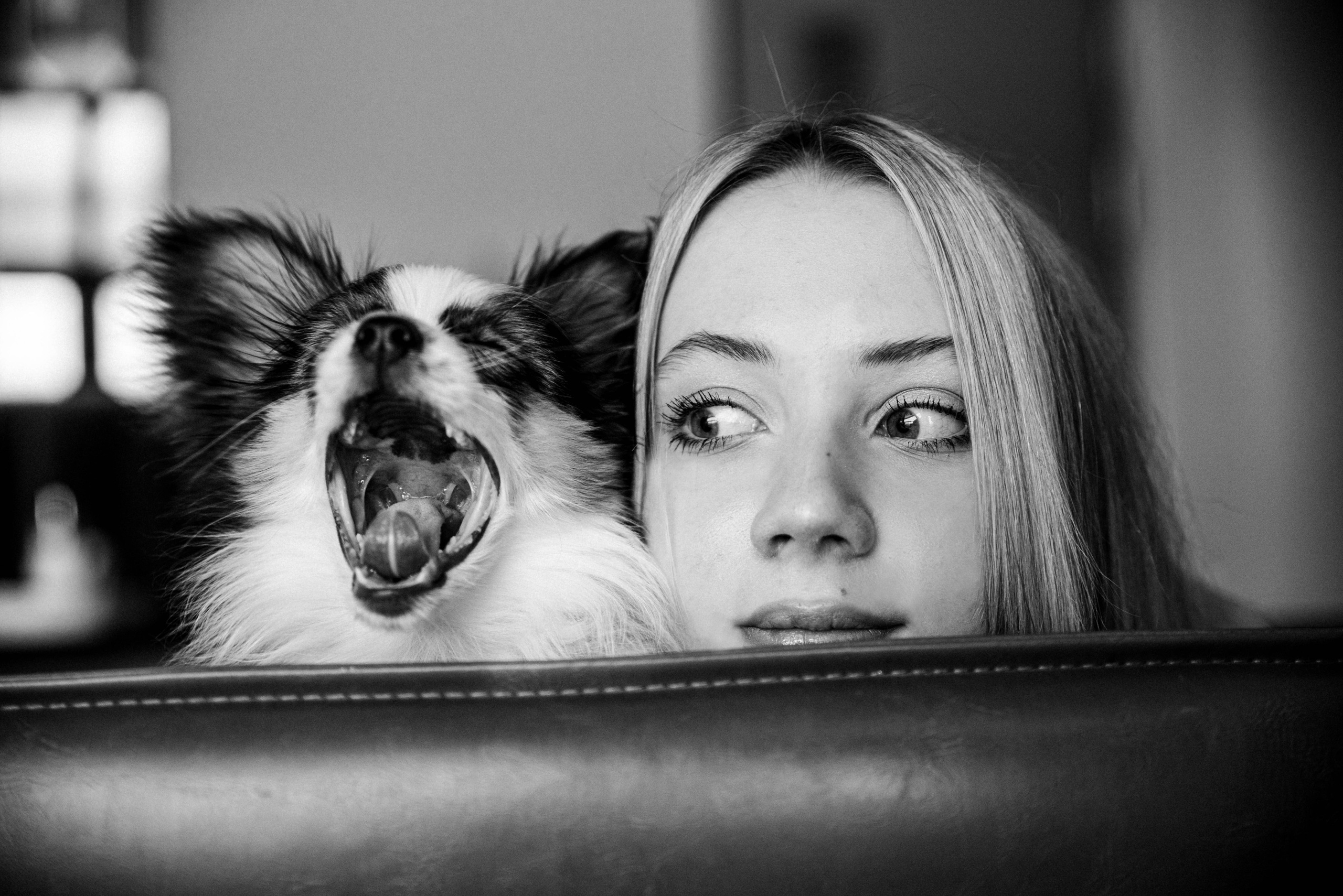 Настя, Света и Папийон Луней. Главная