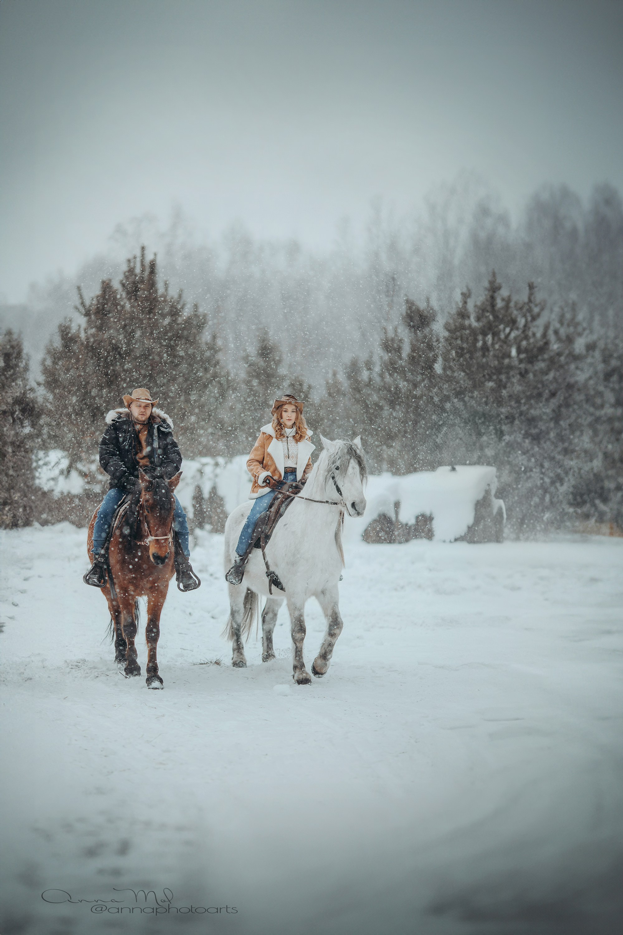 Снежная история. Анна Молчанова конный фотограф в Тюмени | фотосессии с лошадьми Тюмень