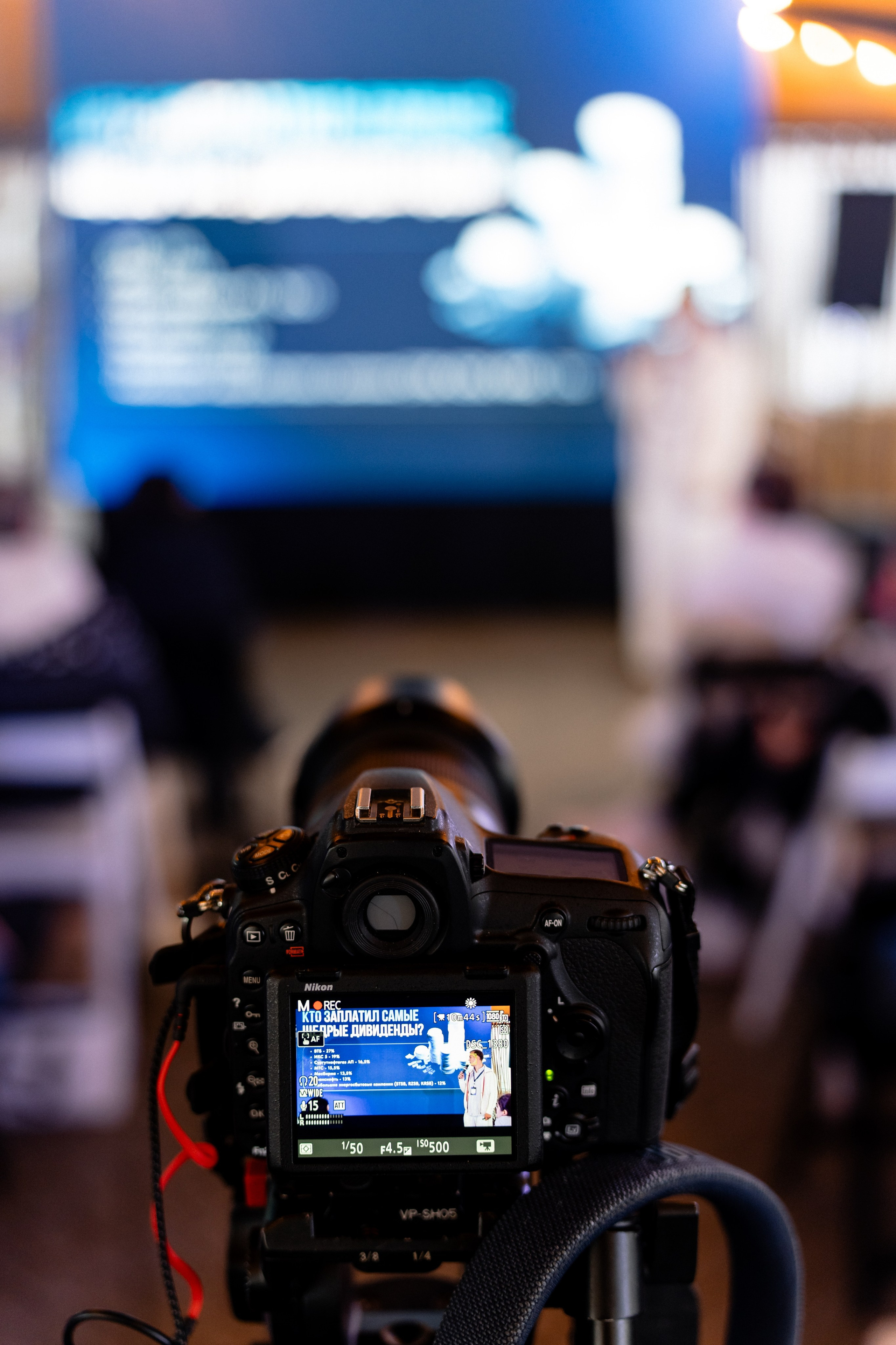 Регата ProFinansy. Андрей Сухинин репортажный свадебный фотограф Санкт-Петербург