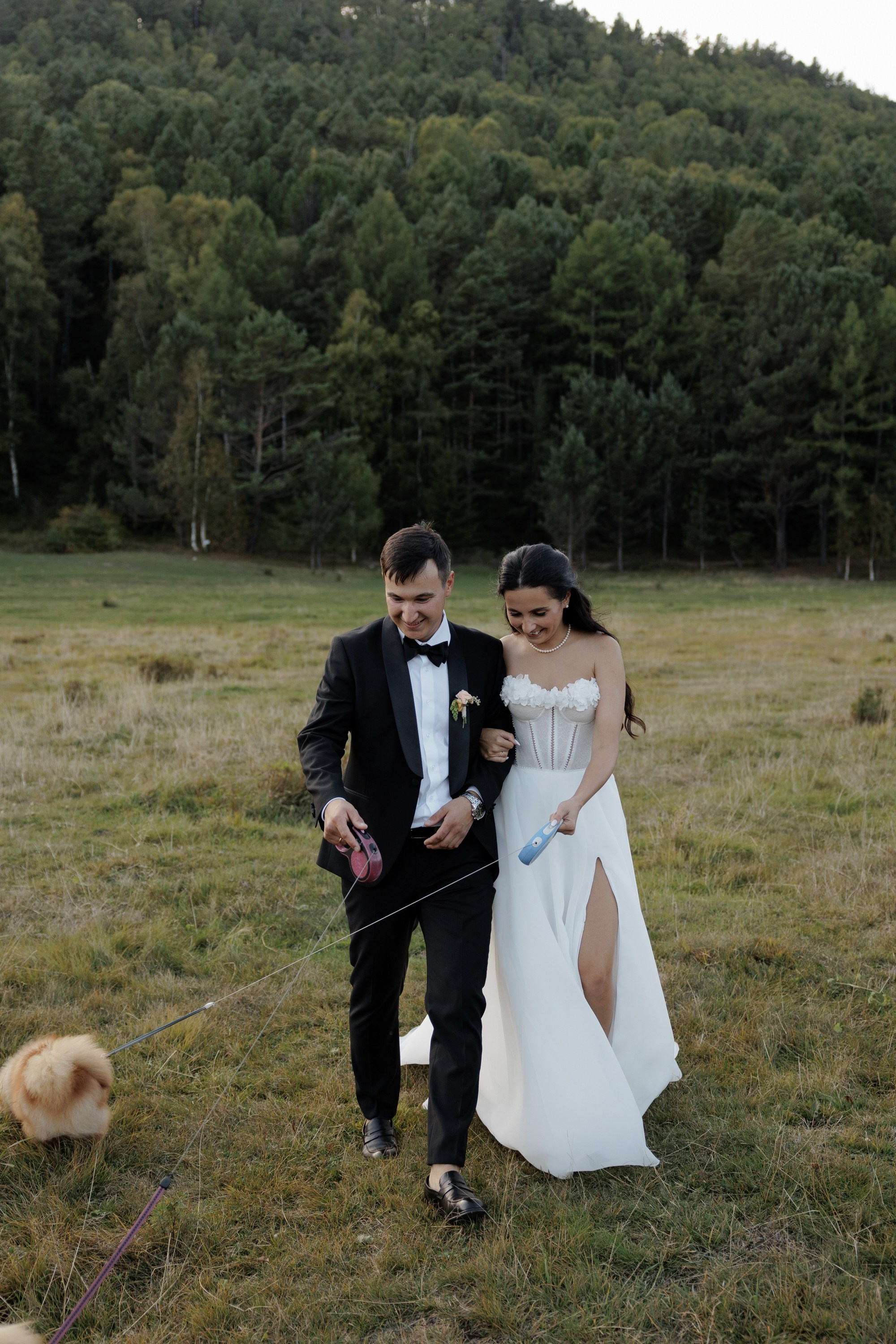 Дмитрий и Алёна. Свадебный фотограф