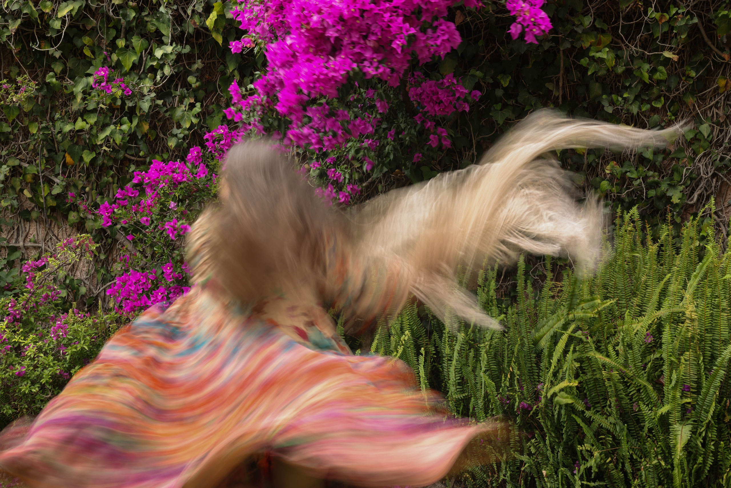 Стихия танца. Kateserbina