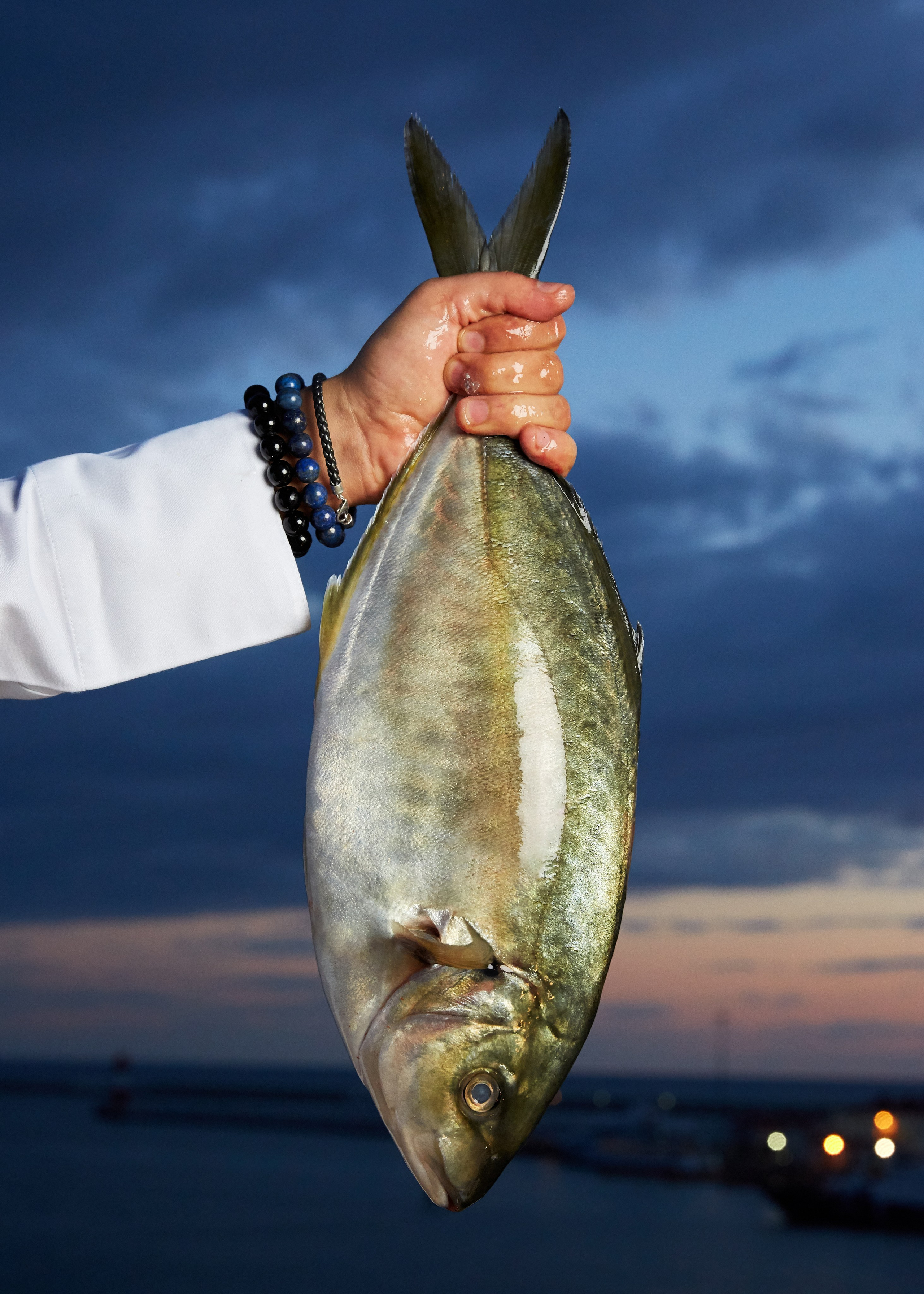 Азиз Саффар. Главная