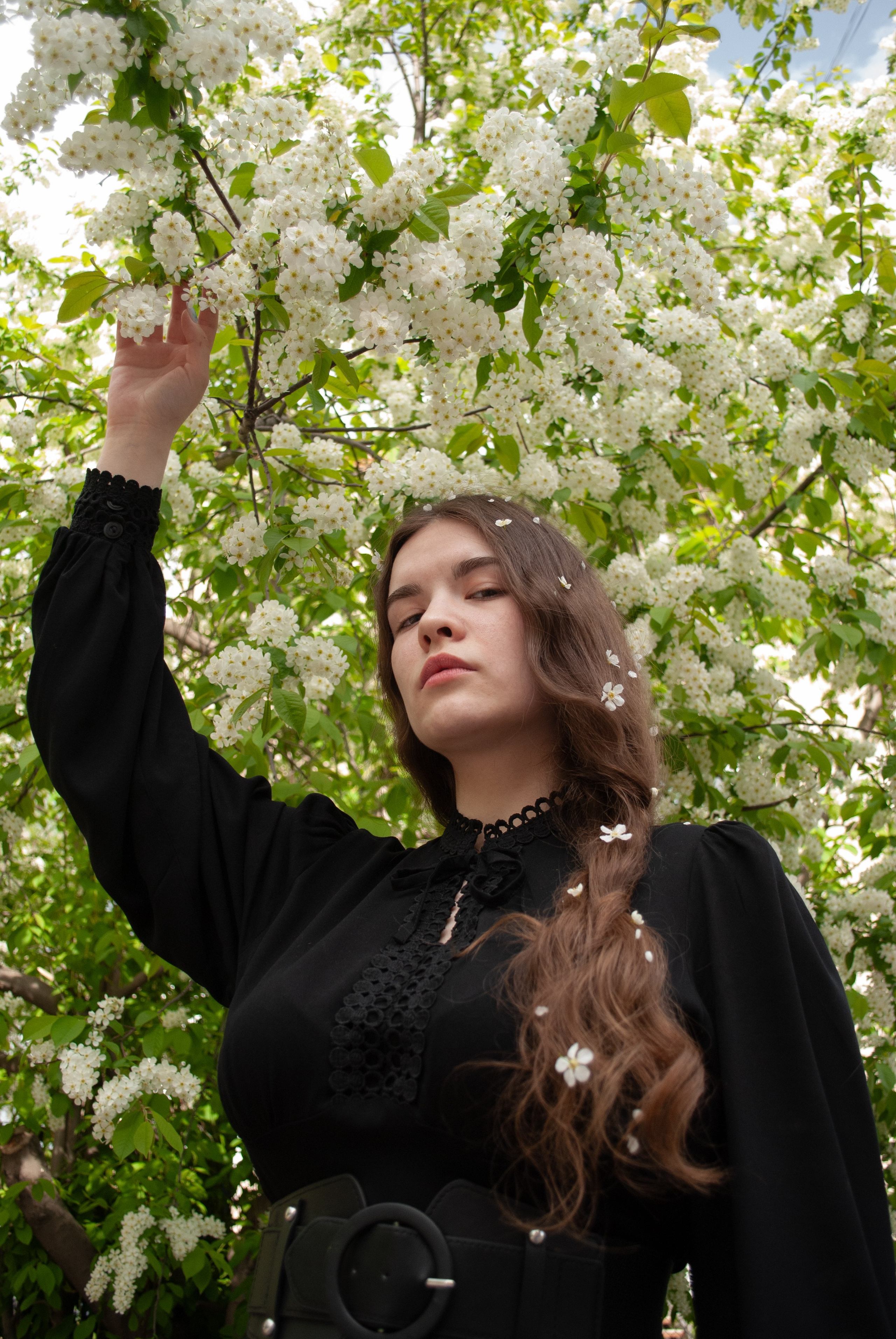 Цветение. Alina.Dvt — профессиональный фотограф|Красноярск