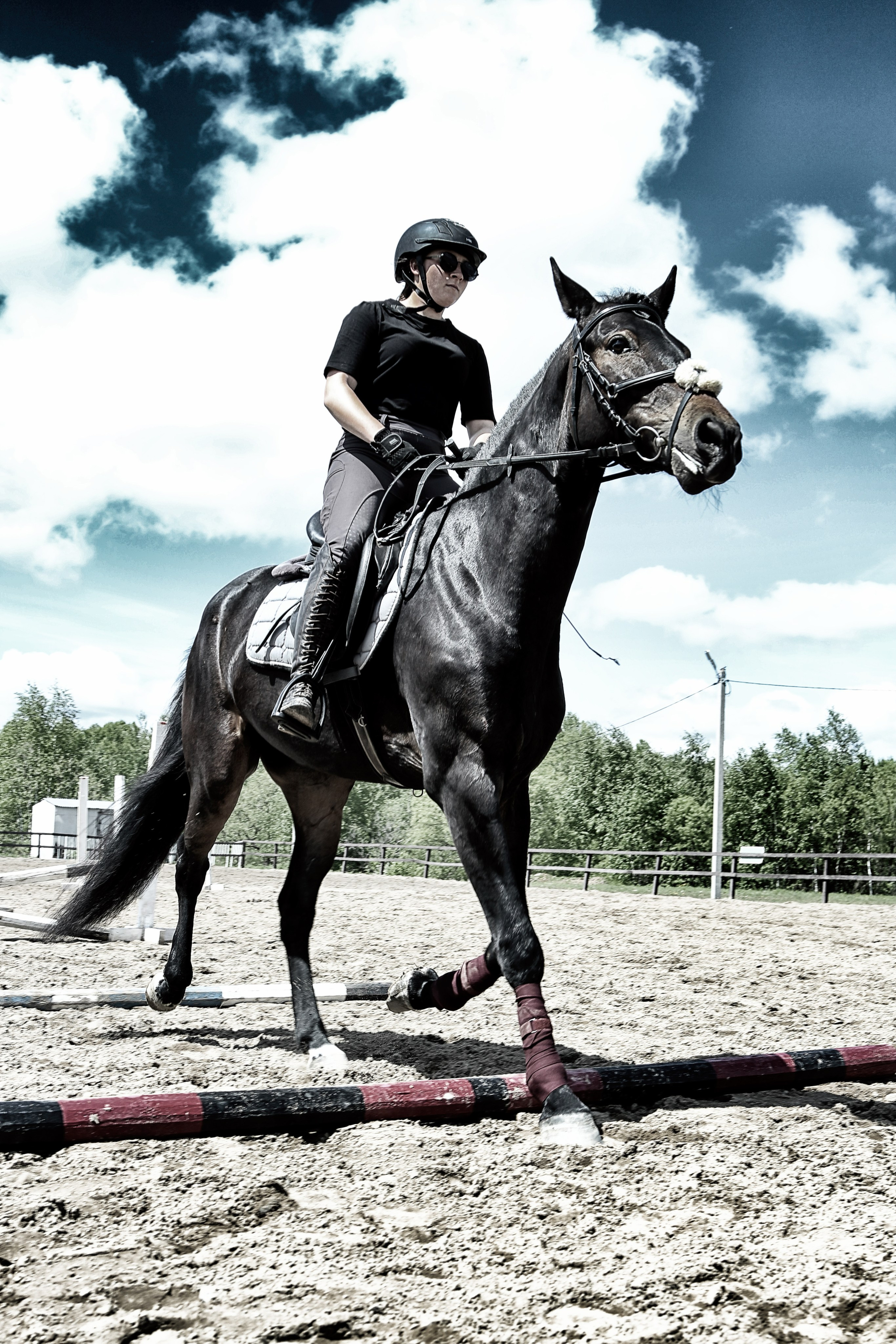 Лошади «Каскад» и «Брилиант». Алиса Томшина — Фотограф / Видеограф