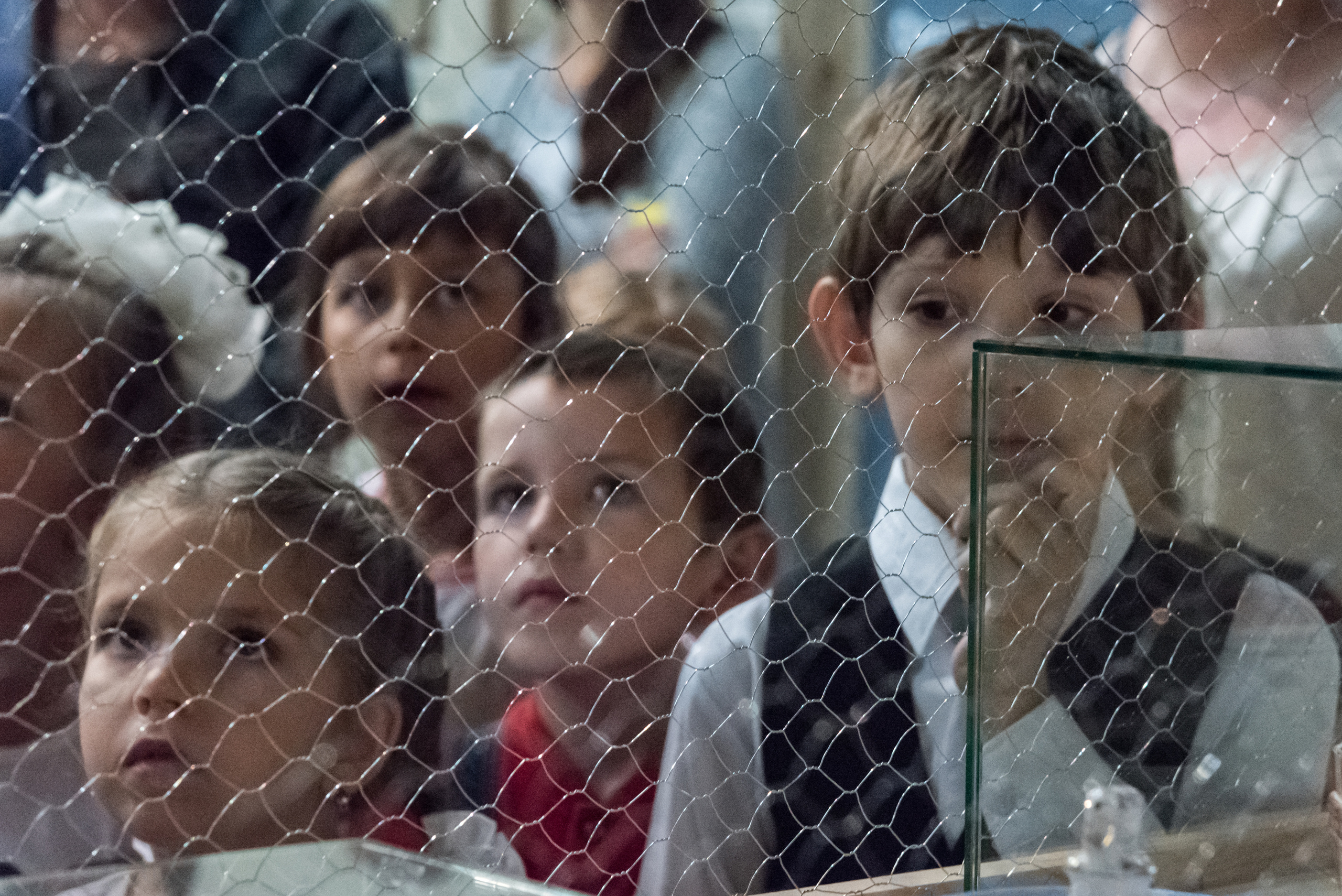 Портфель первоклассника 2016. Фотография для жизни от Елены Чихичиной