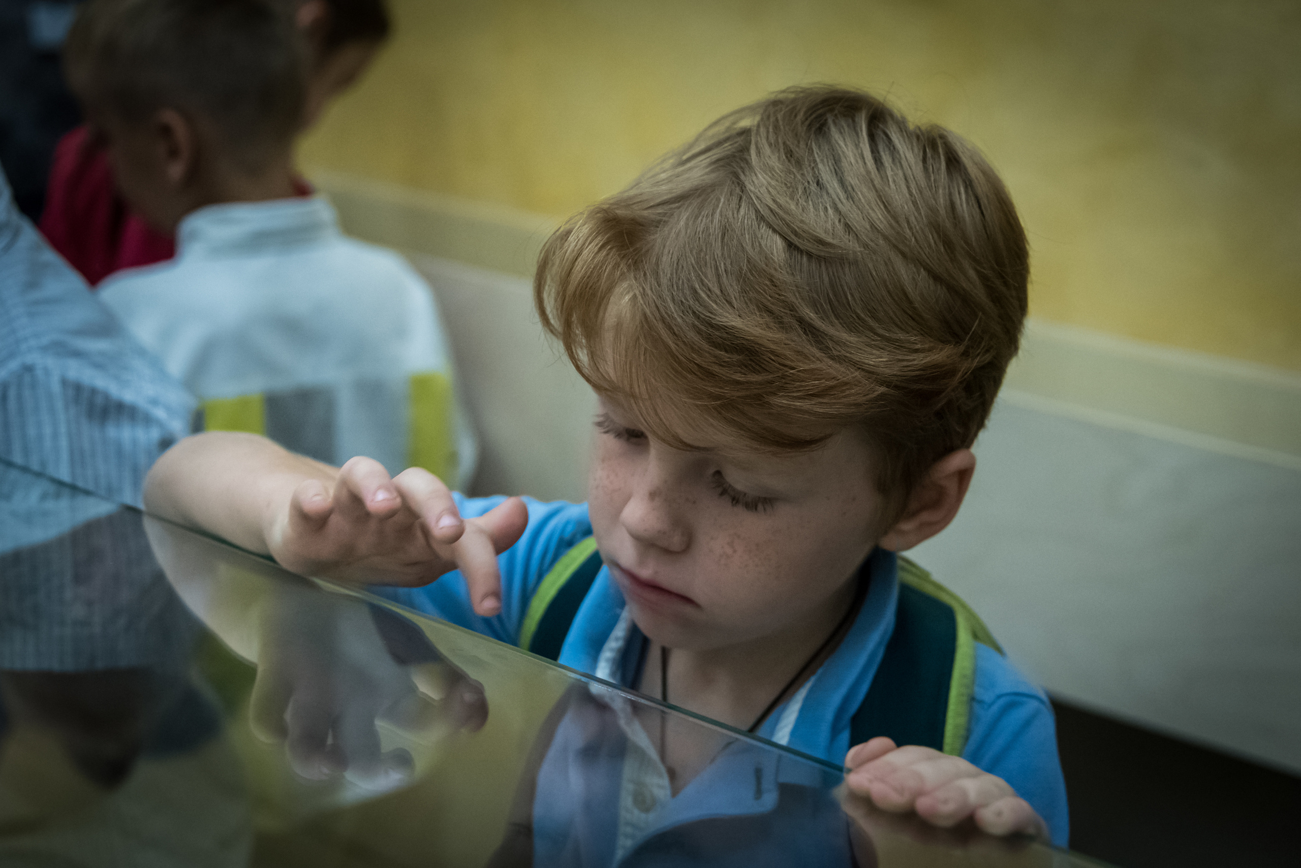 Портфель первоклассника 2016. Фотография для жизни от Елены Чихичиной