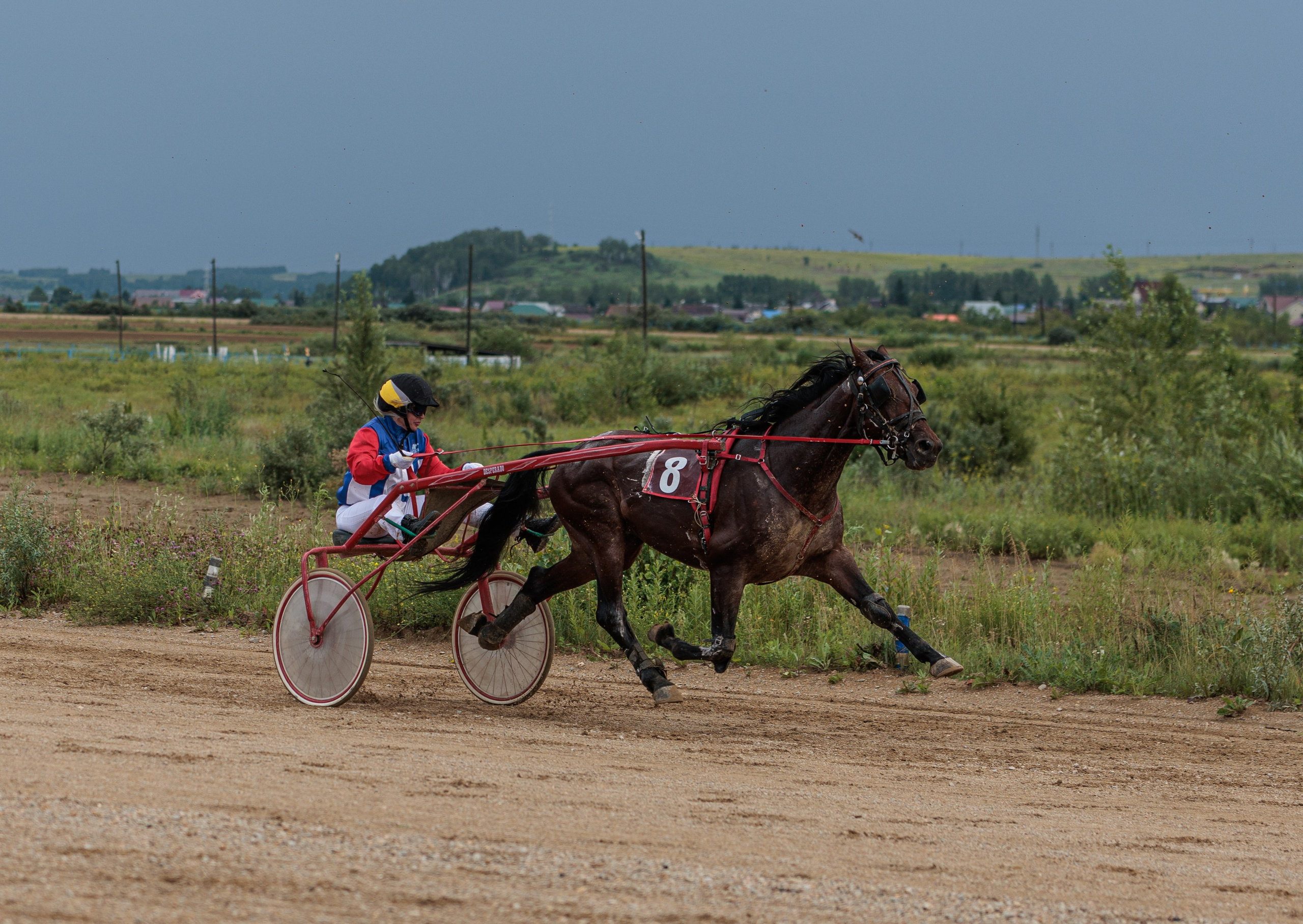 2025. Конный фотограф в Красноярске — Любовь Похабова