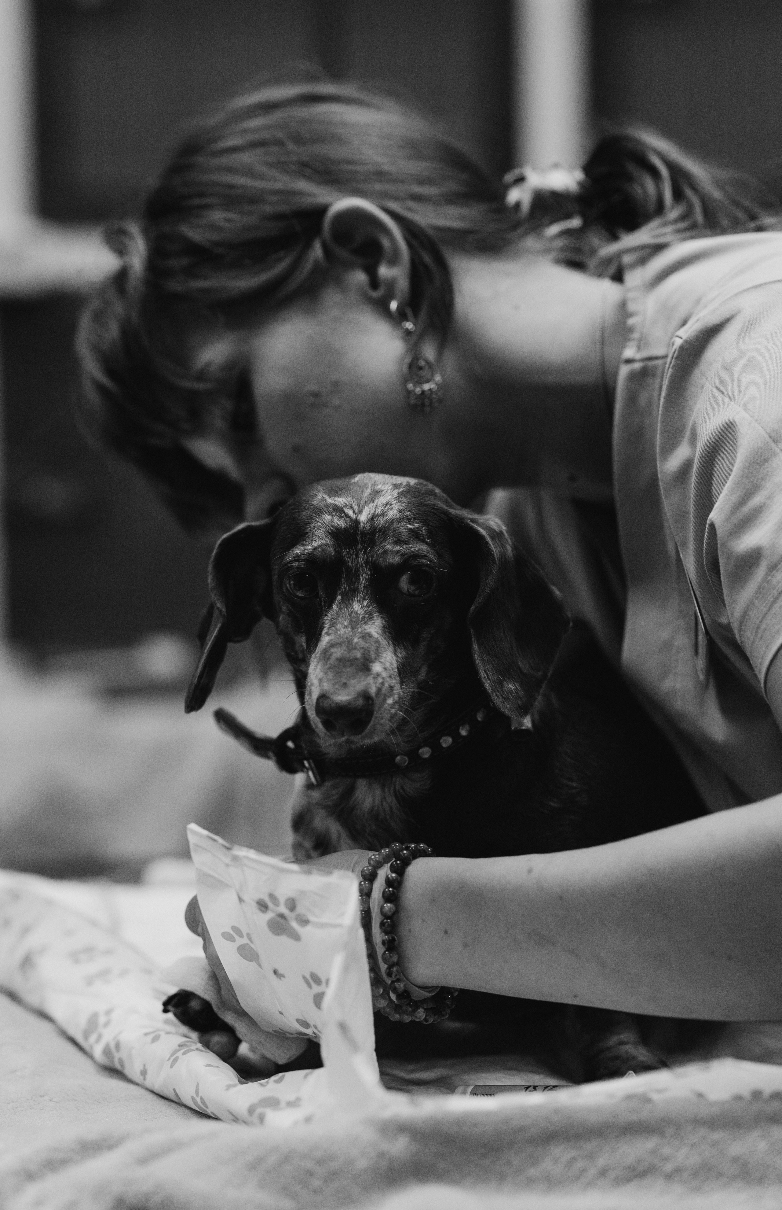 VetLife. Татьяна Афонина | Фотограф