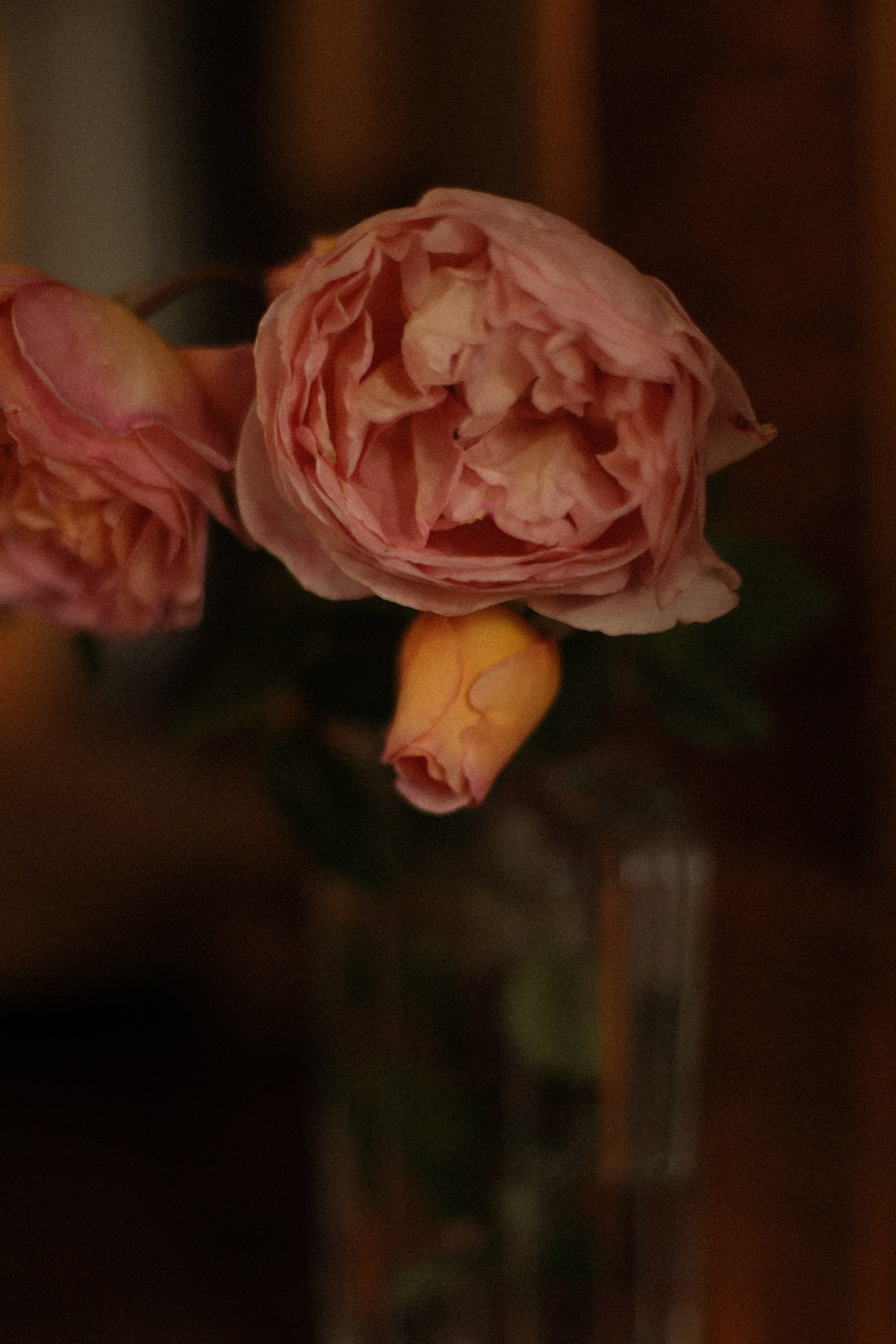 Таинство крещения/венчания. Фотограф — Ольга Косолюкина