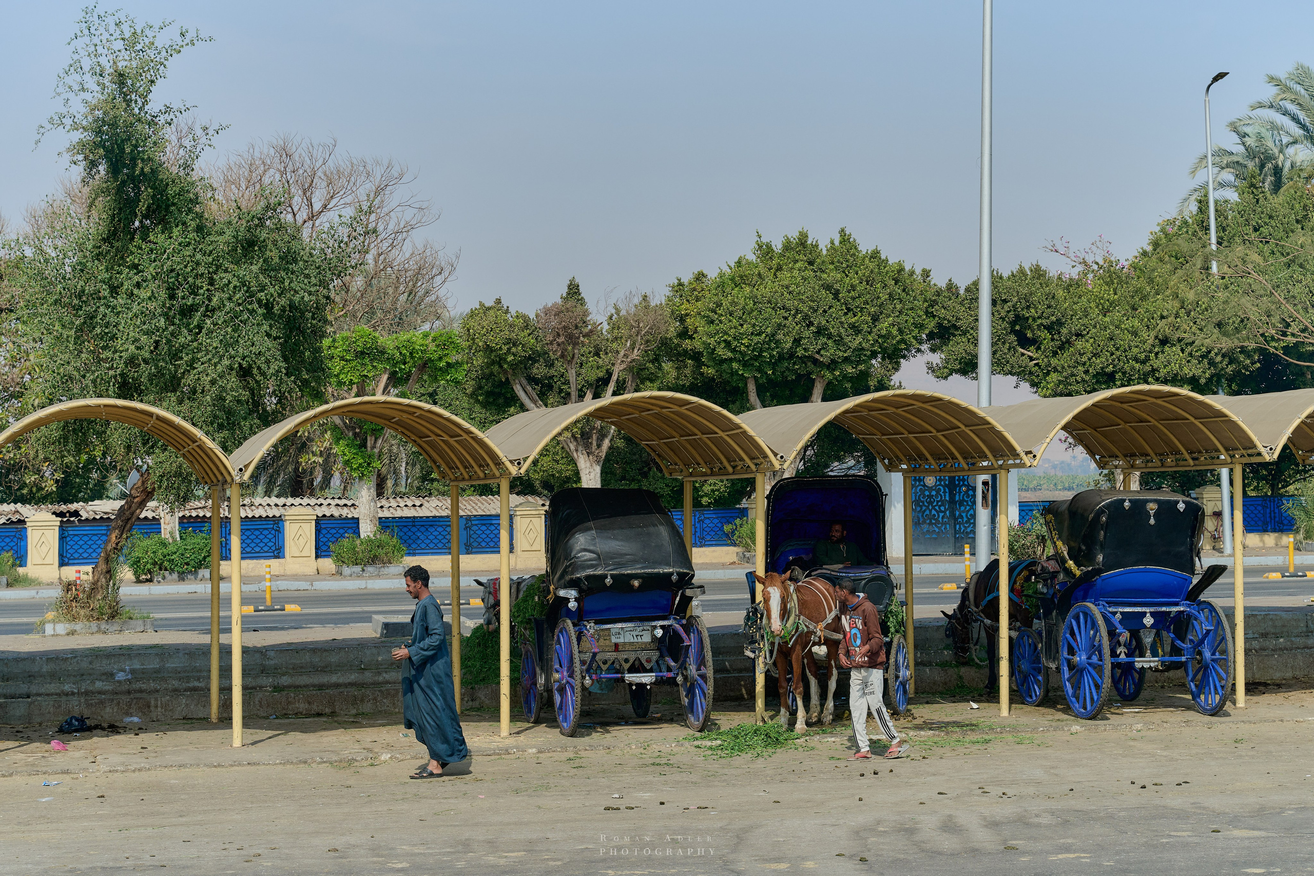 Луксор. Февраль 2025. Фотограф Роман Адлер