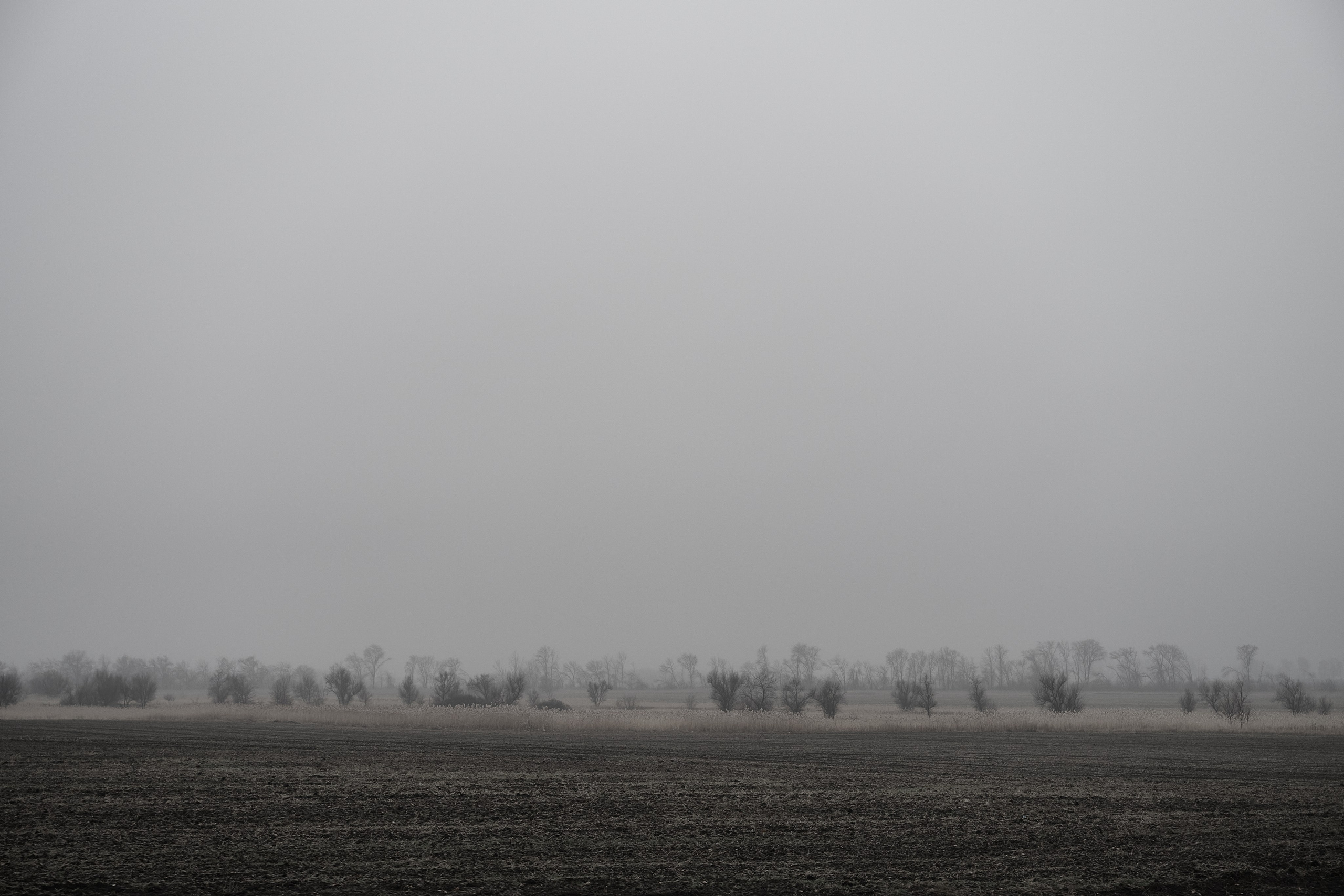 Дорога домой. Туман. Фотограф Роман Адлер