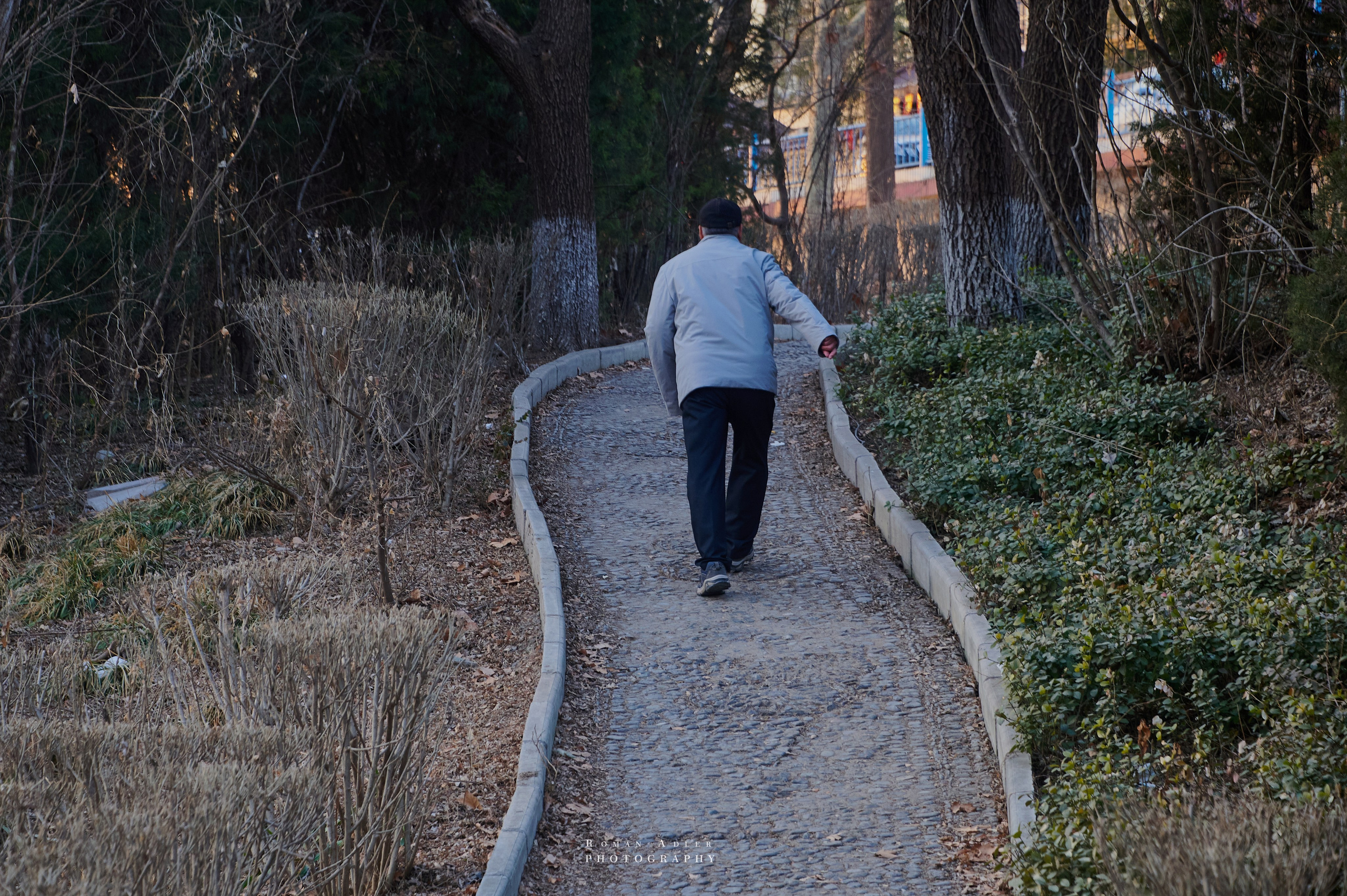 Городской парк Цинчжоу. Фотограф Роман Адлер