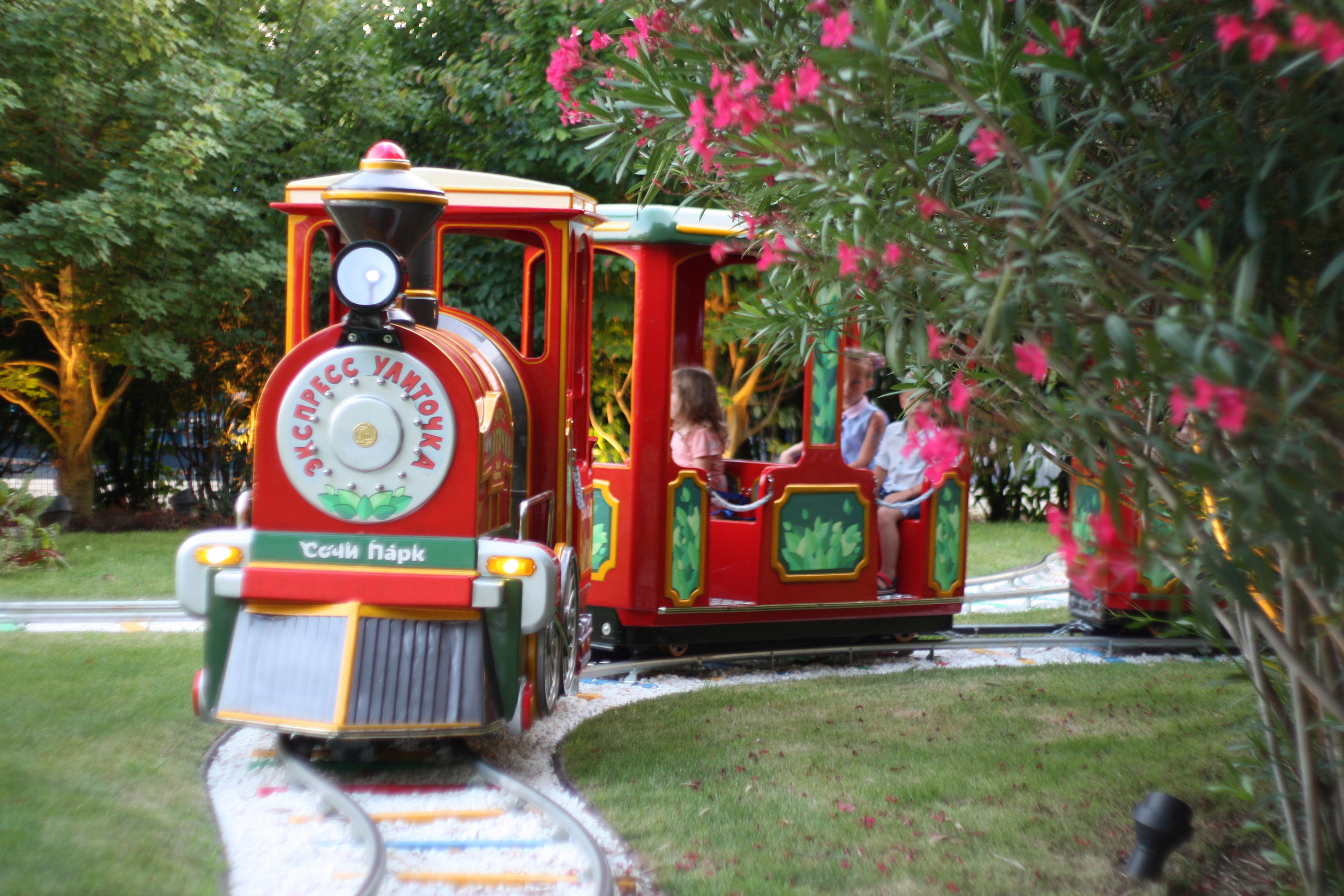 Первые кадры. Сочи — парк. Фотограф Роман Адлер