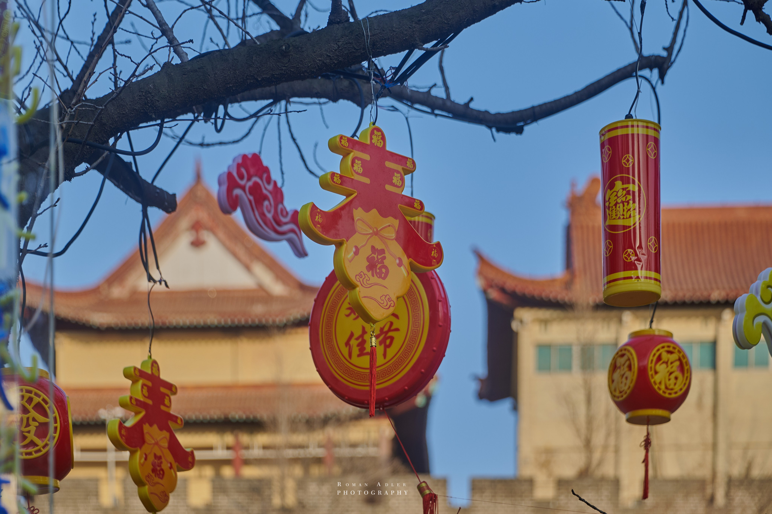 Городской парк Цинчжоу. Фотограф Роман Адлер