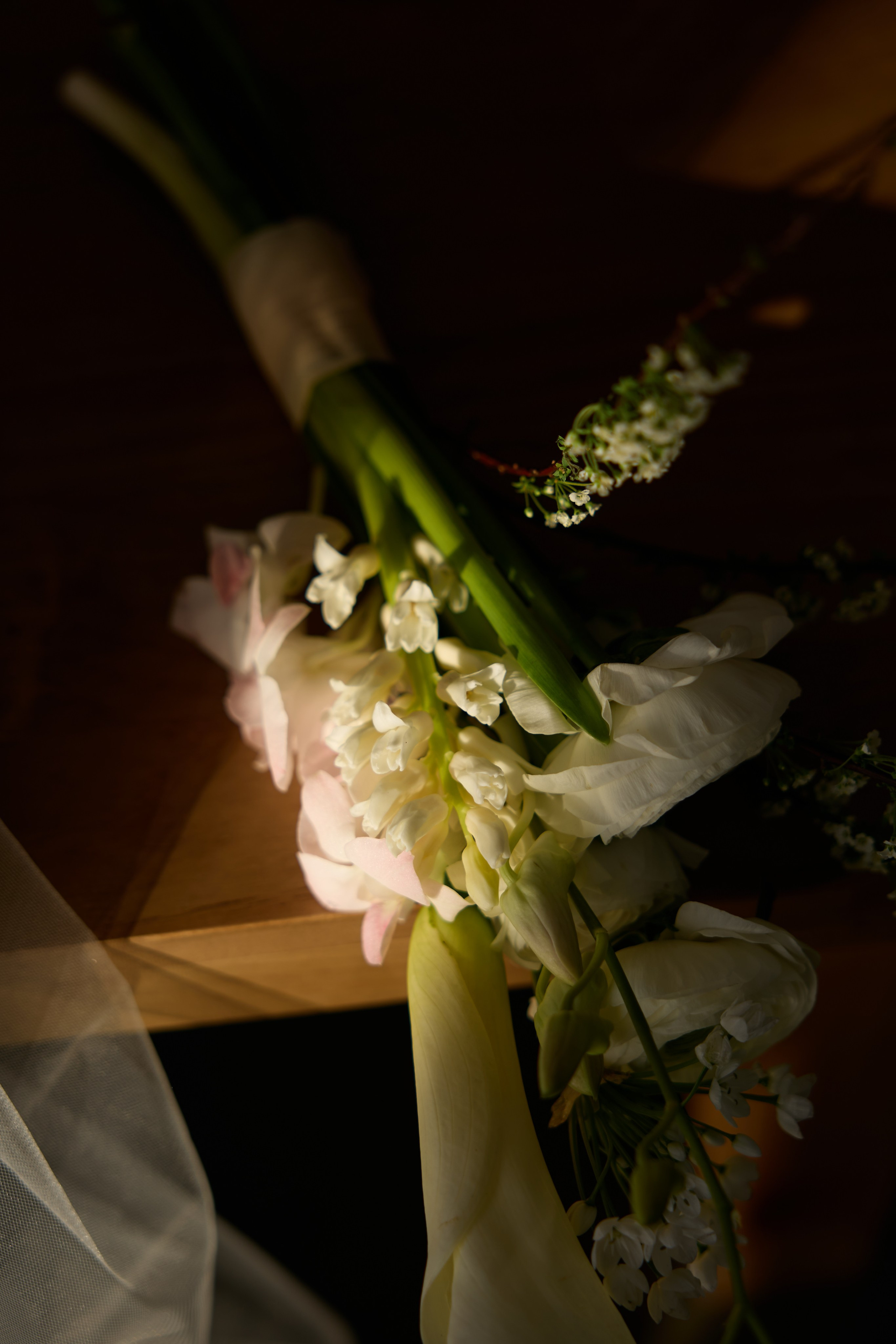 Фань и Ксения 2026. Александр Прозоров фотограф в Кирове