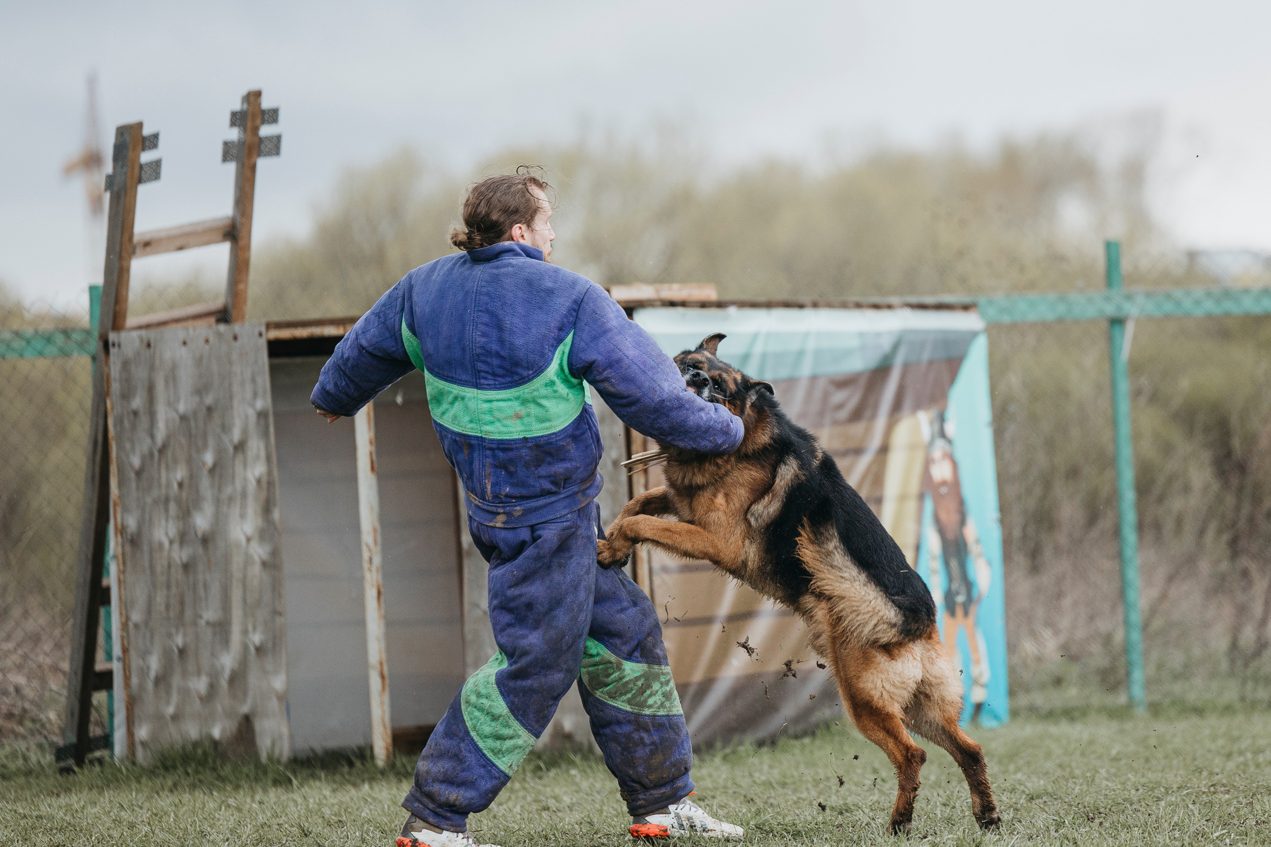 09.05.25 Вологда соревнования. Фотограф-анималист Анна Маринич