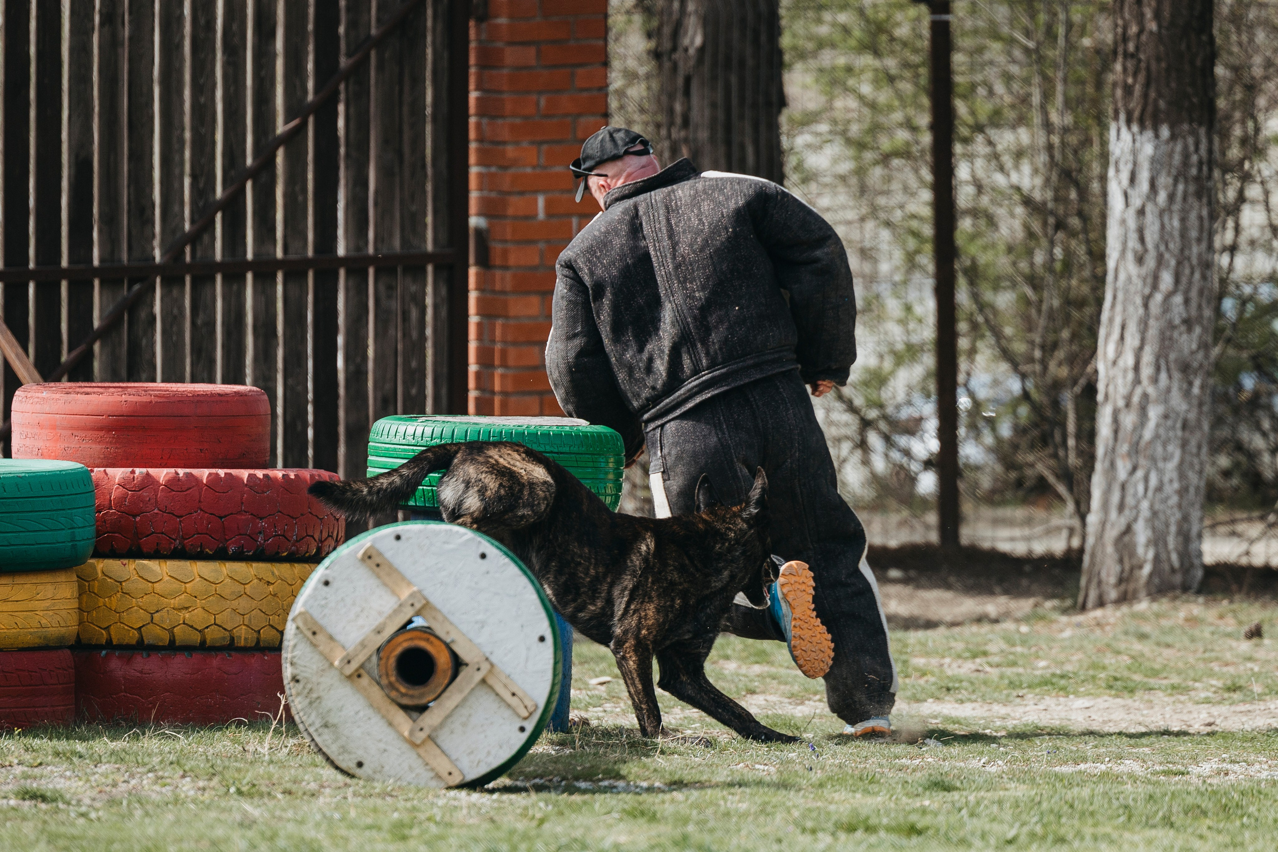 Геленджик Мондьоринг. Фотограф-анималист Анна Маринич
