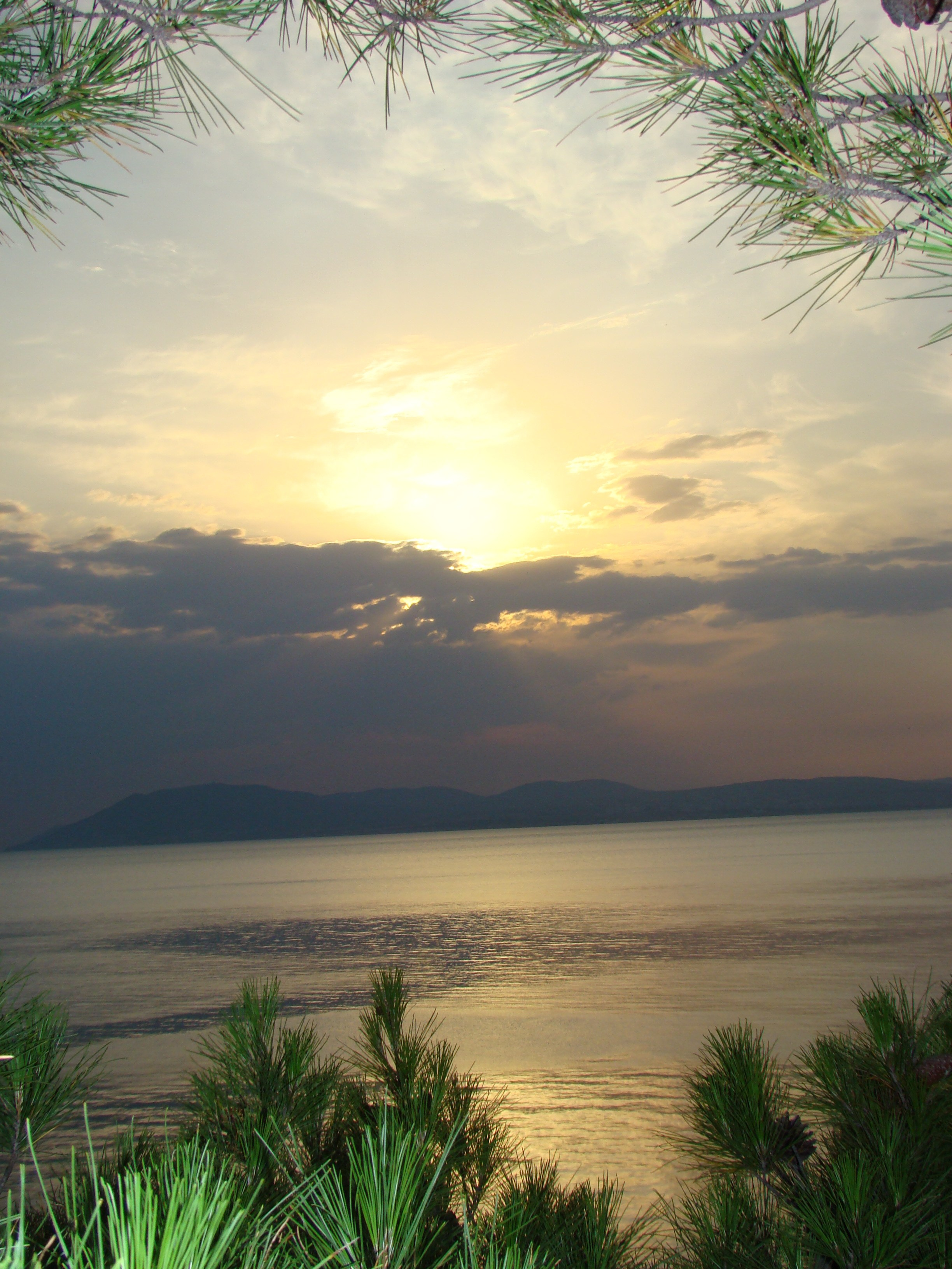 Кабардинка (фото Зевиных) 25.06-24.07.2008. Семейный, Свадебный фотограф СПБ Питер— Романова Екатерина