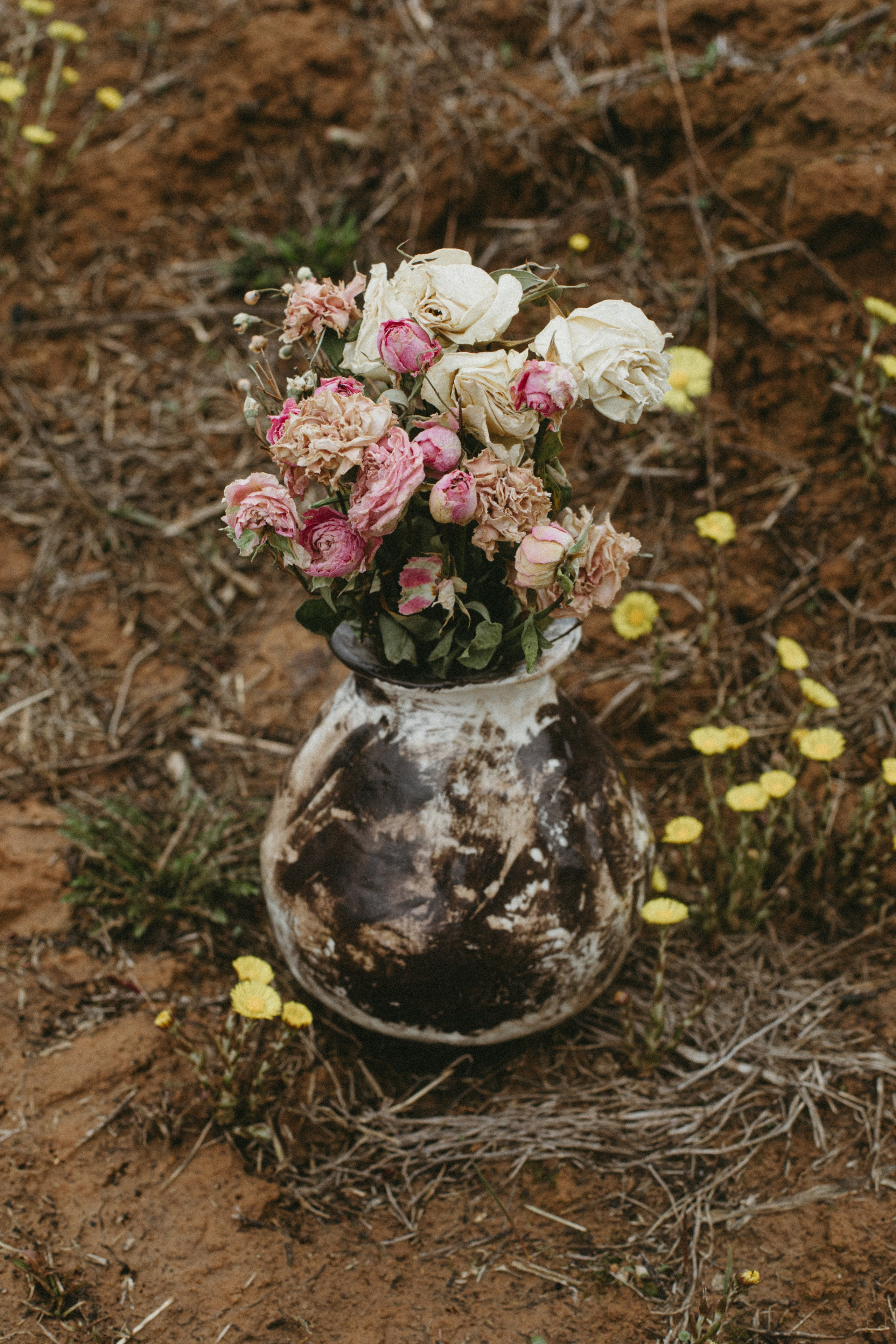 Ваза Лора. Фотограф Эльмира Лин