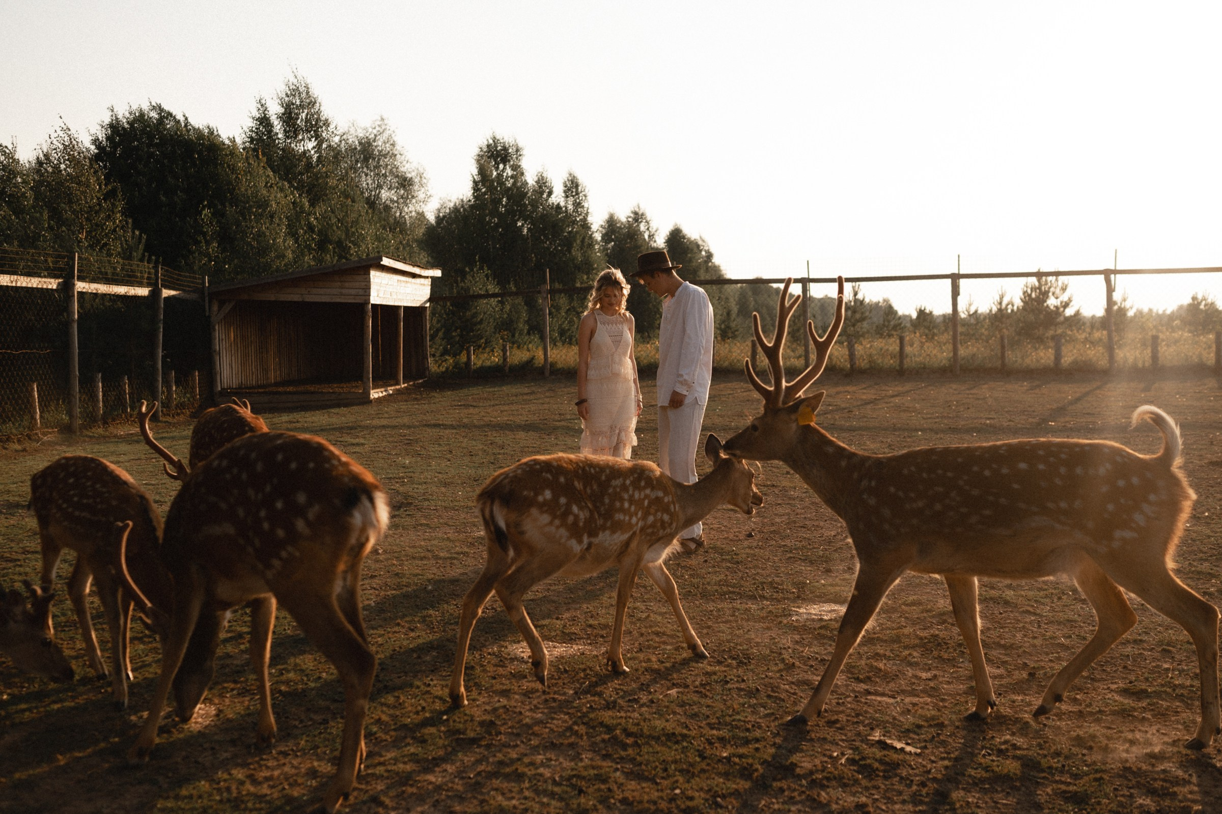 Wedding. Свадебный фотограф в Ижевске Мария Колясникова