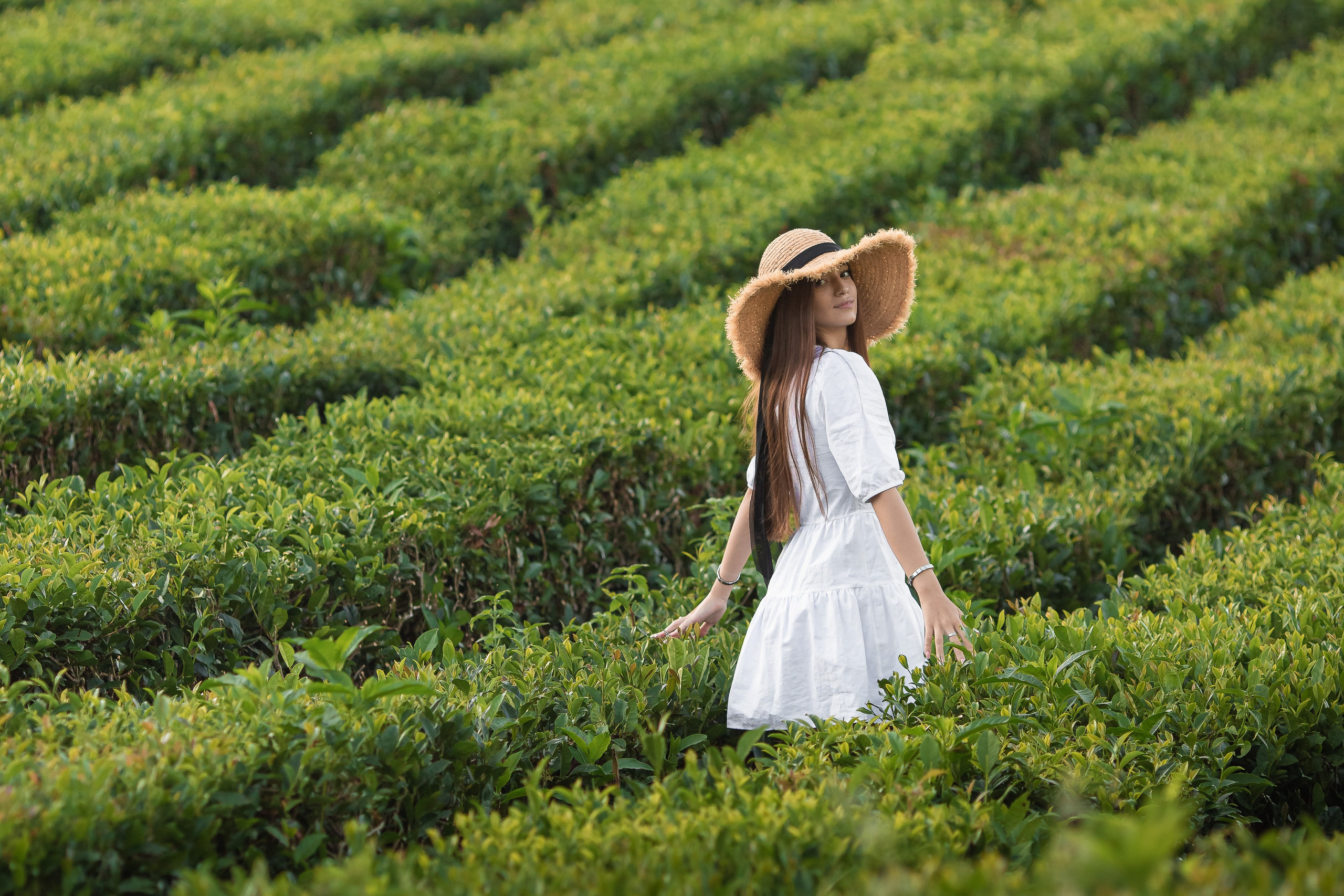 Чайная плантация. Сочи. Семейный и детский фотограф в Краснодарском крае Натали Фищенко