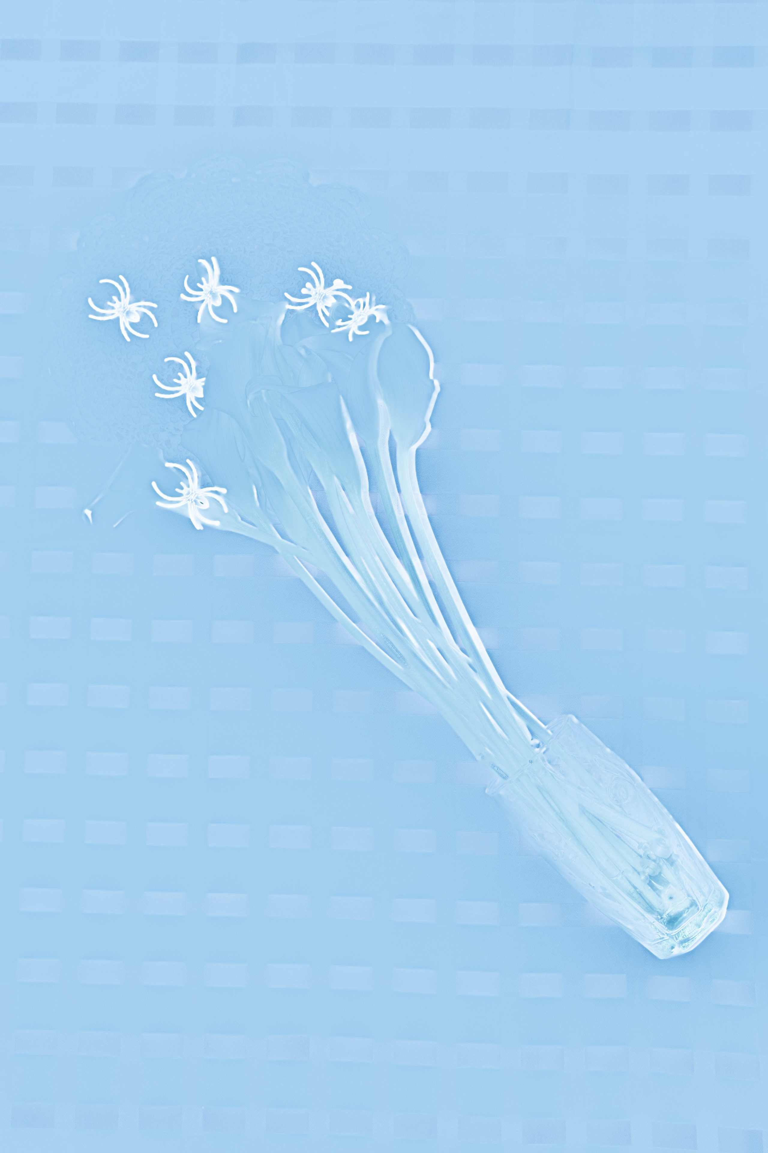 ПРИНТЫ. Виктория Князева| фотограф из Санкт-Петербурга