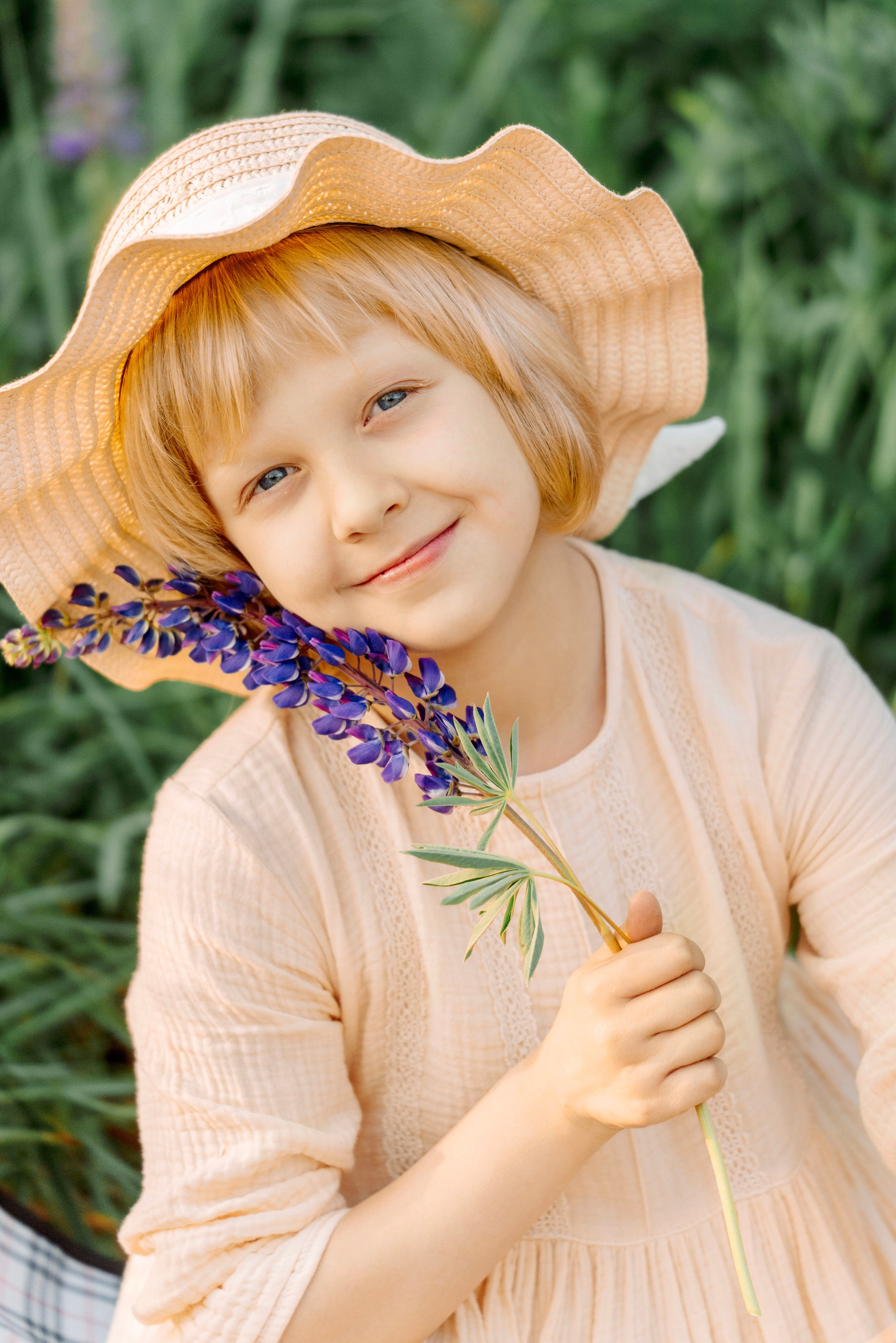Люпины. Фотограф Юлия Попова