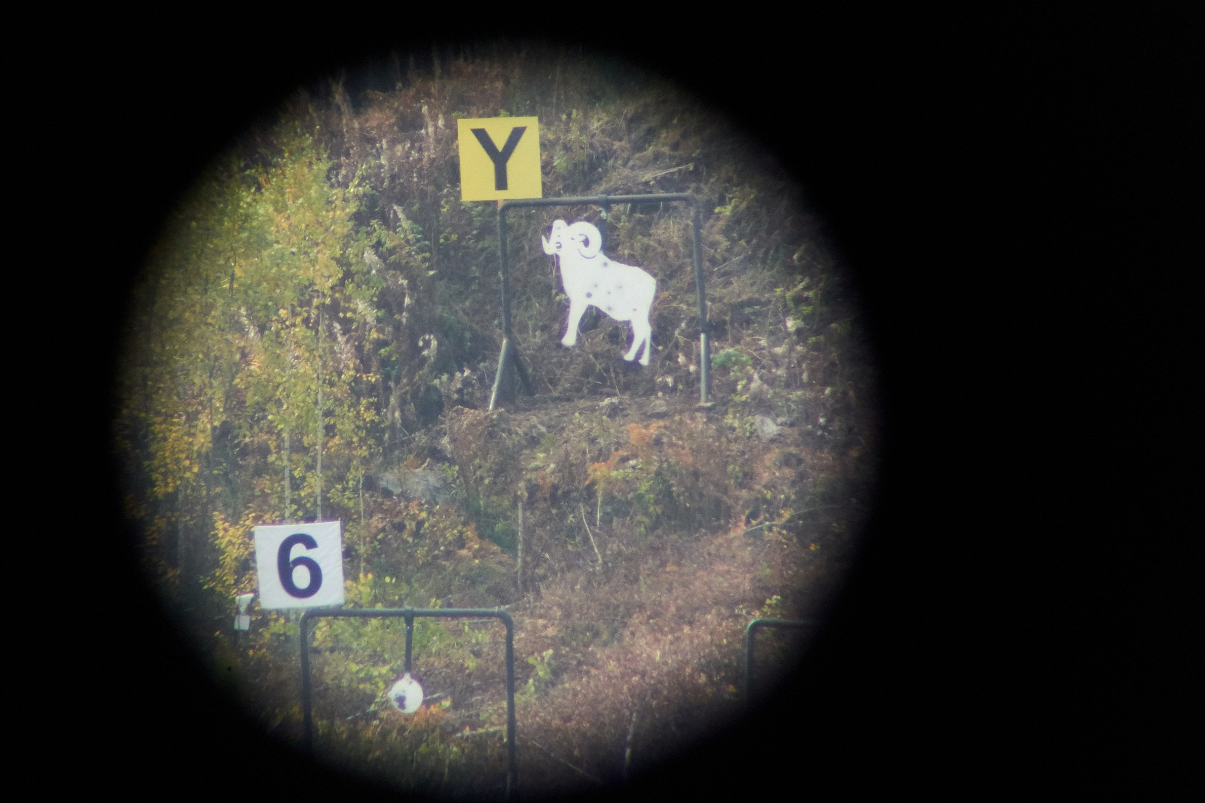 II Евроазиатский чемпионат по снайпингу 2019 г. Екатеринбург. Фотограф Станислав Баев