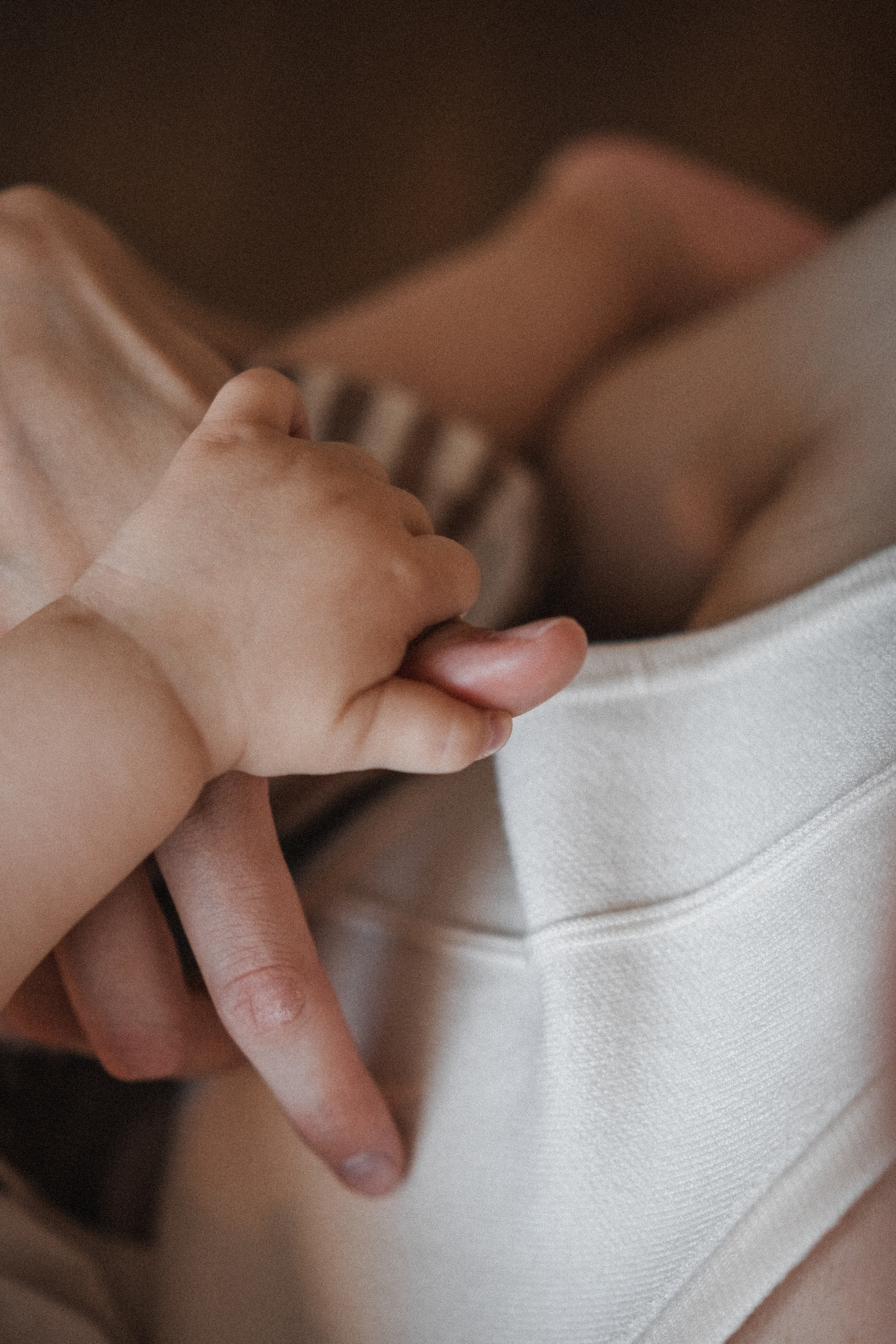 Семейная серия дома. Alenasokolowa.ru