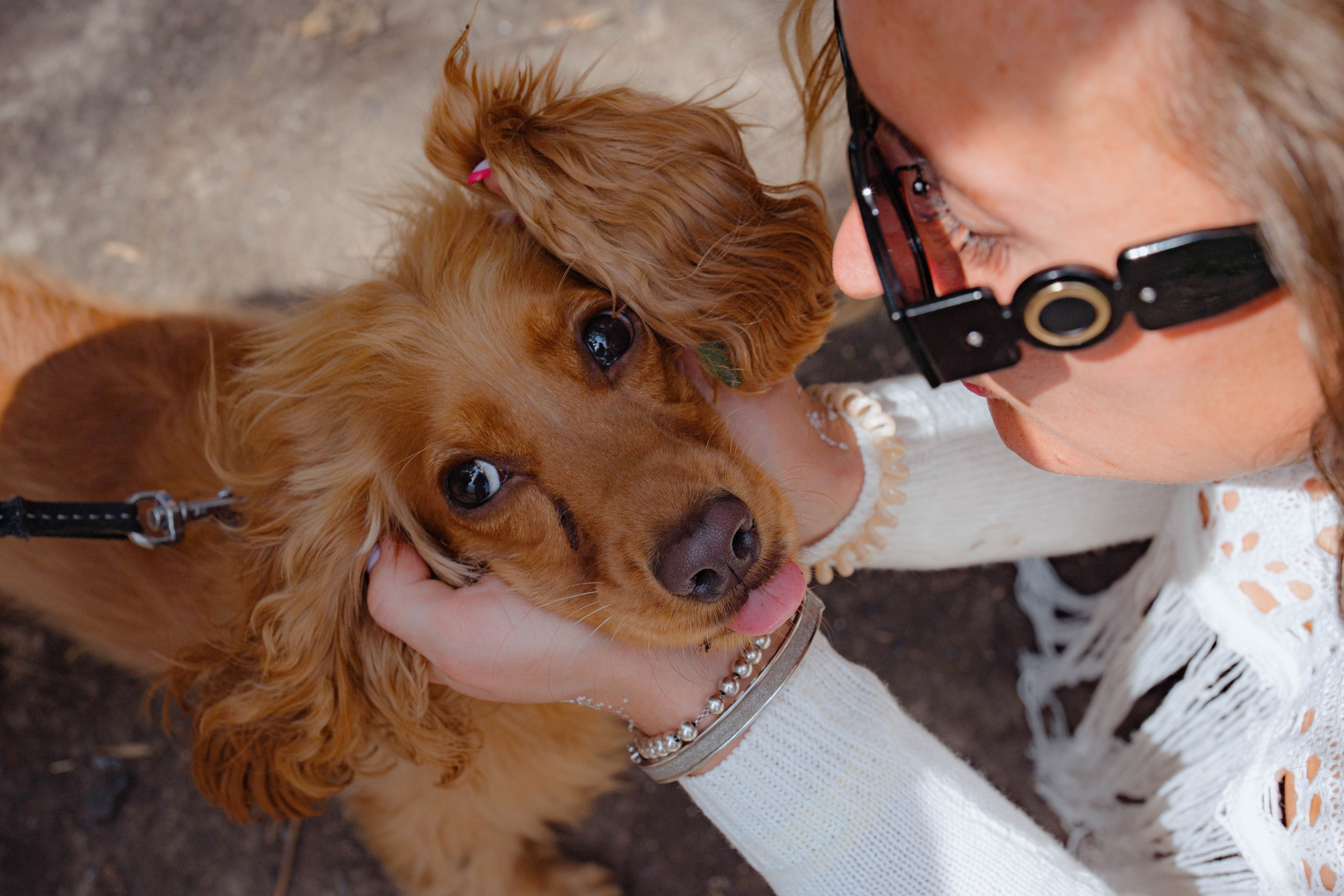 ASS FAMILY | СОН В ДЕРЕВНЕ | АВИАРЕЖИМ 8.0