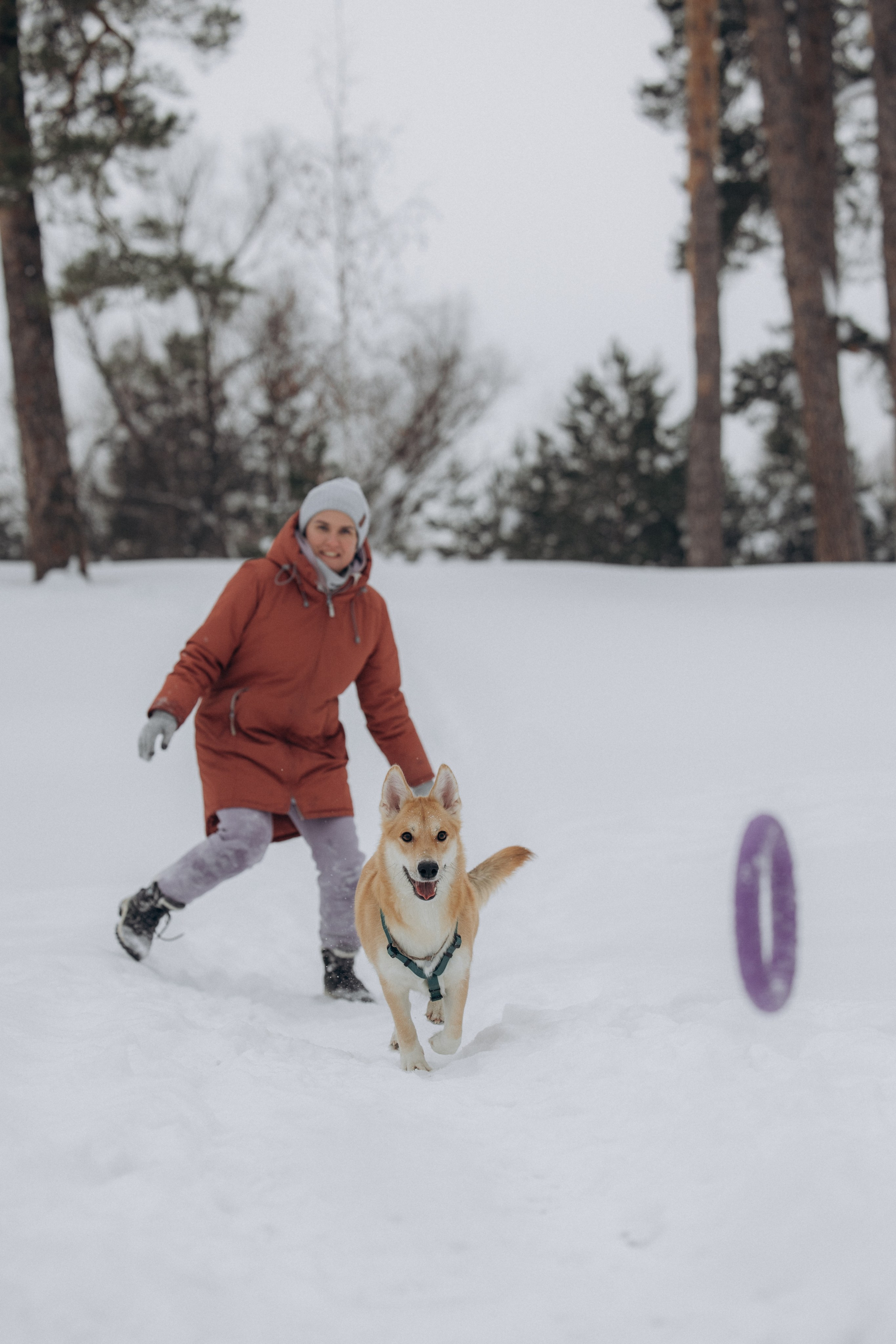 Прогулка на озере зимой. Фотограф анималист в Казани Алина Сулейманова. Фотограф животных