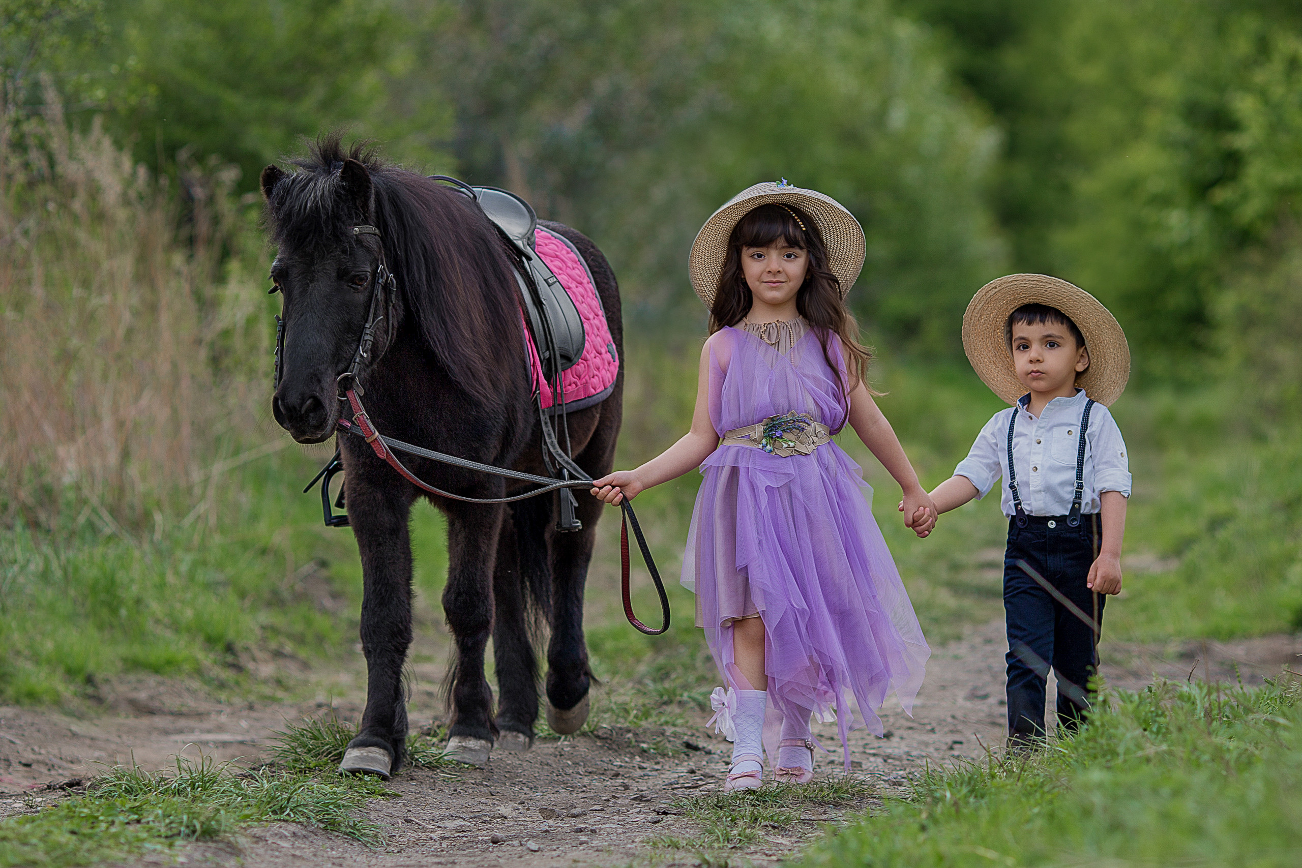 Сьемки с лошадьми. Конный фотограф в Благовещенске-Мария Балабанова