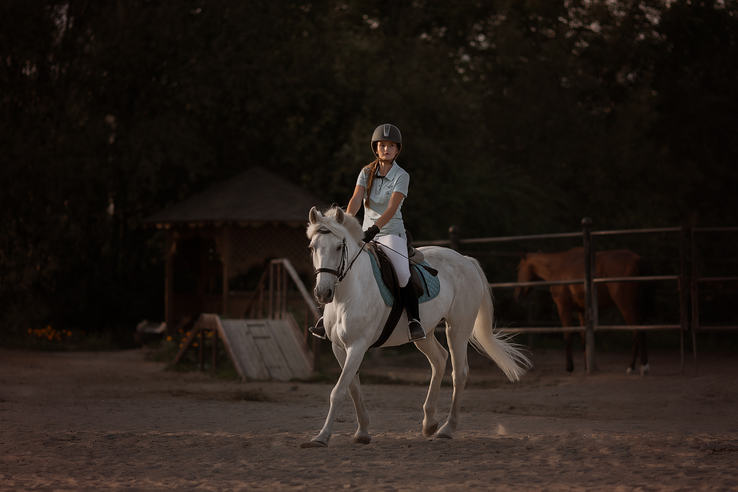Сьемки с лошадьми. Конный фотограф в Благовещенске-Мария Балабанова