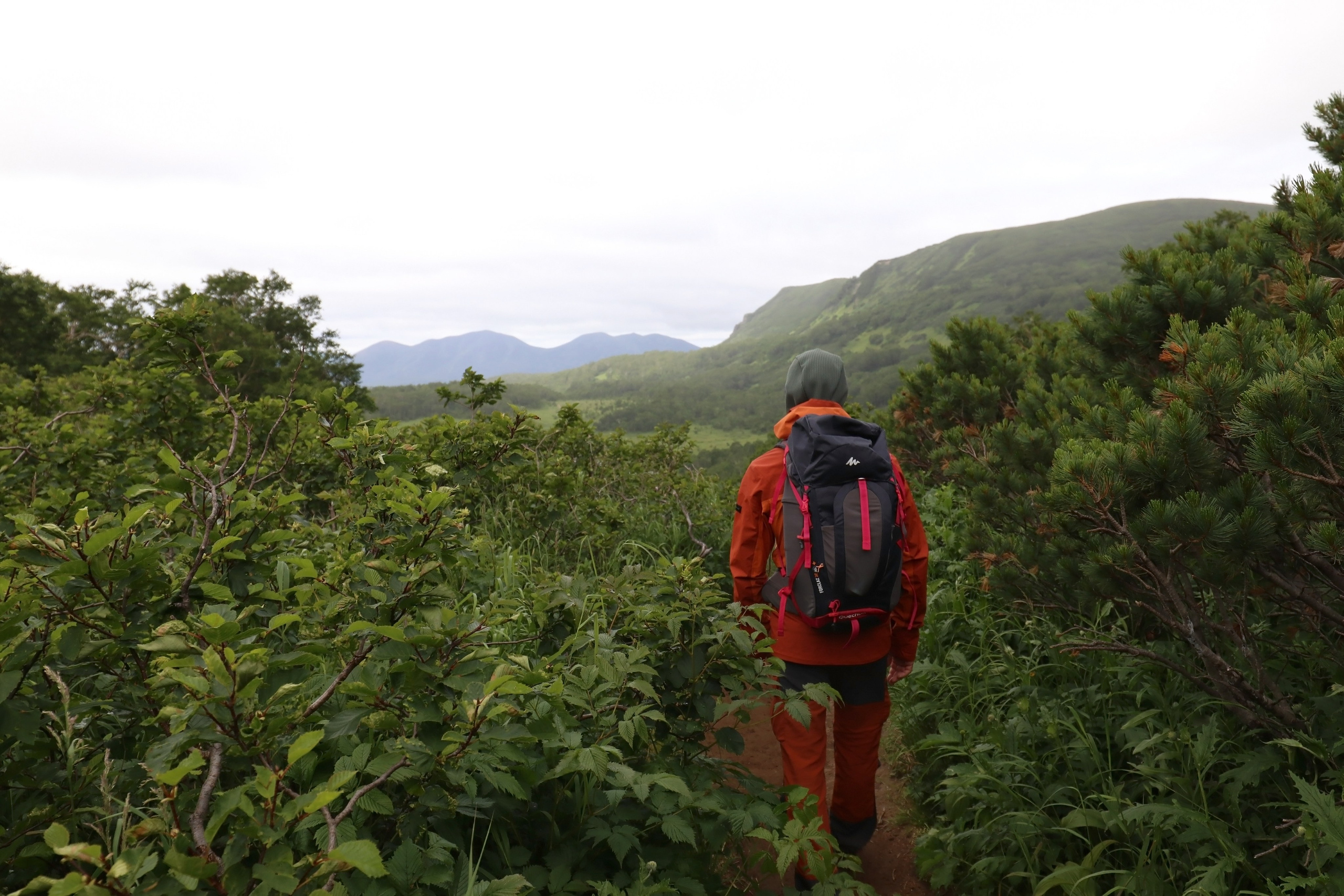 Камчатка и о. Парамушир. Июль 2024. Путешественник-фотограф из Санкт-Петербурга Татьяна Свистулина