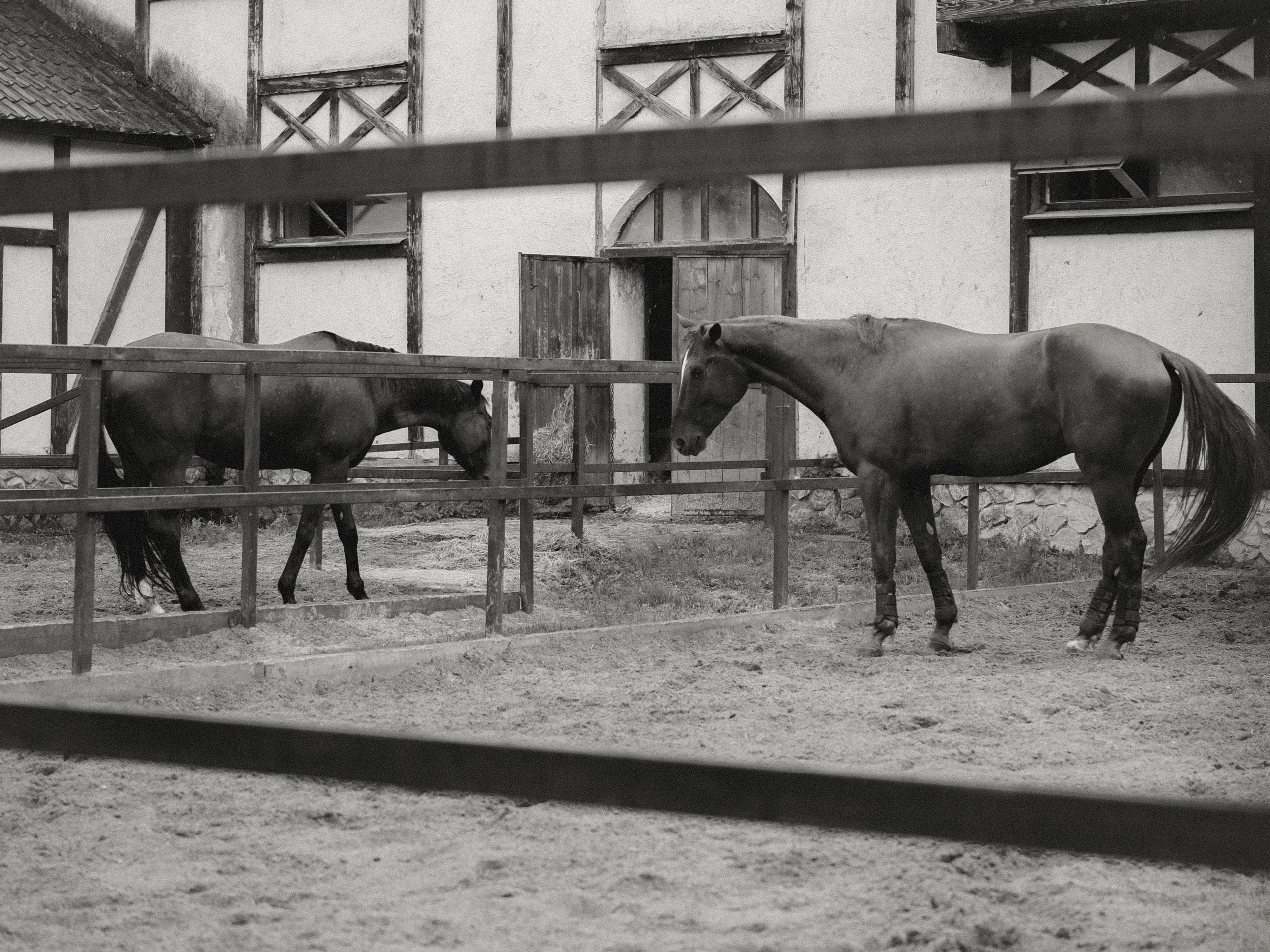 Stylized shoots. Фотограф Дарья Селезнева г. Москва