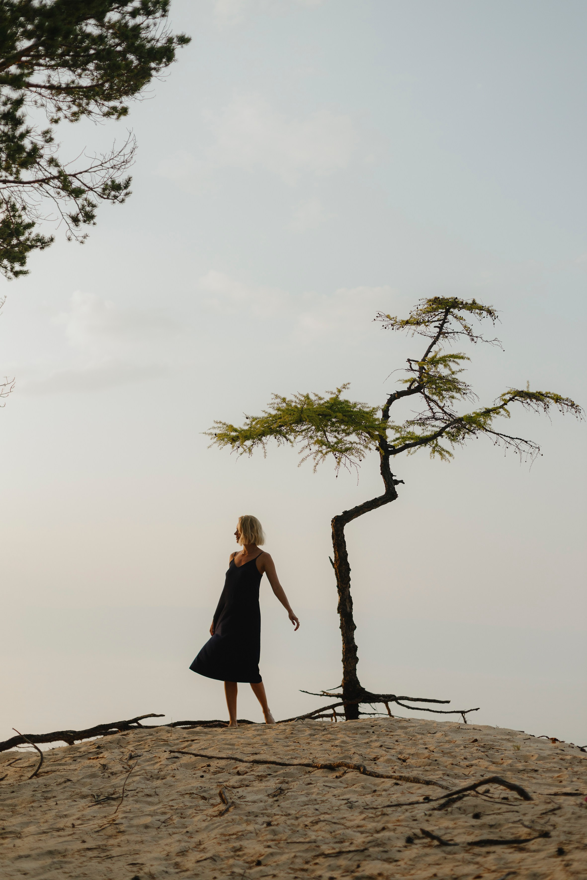 Цветок Ольхона. Фотограф Ольхон/ Индия, Регина